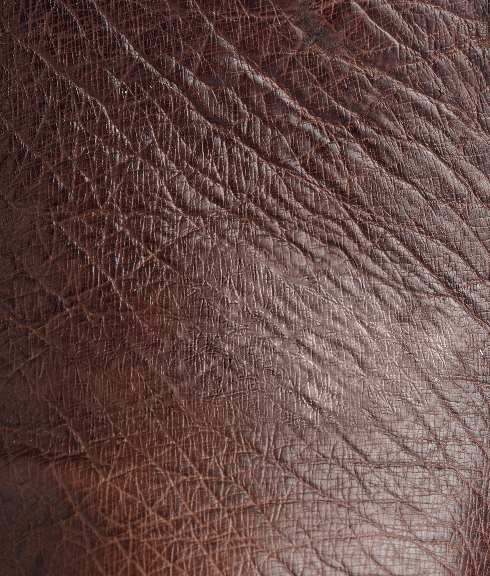 Ridgeline Exotic Chukka Boot :: Tobacco - Image 10