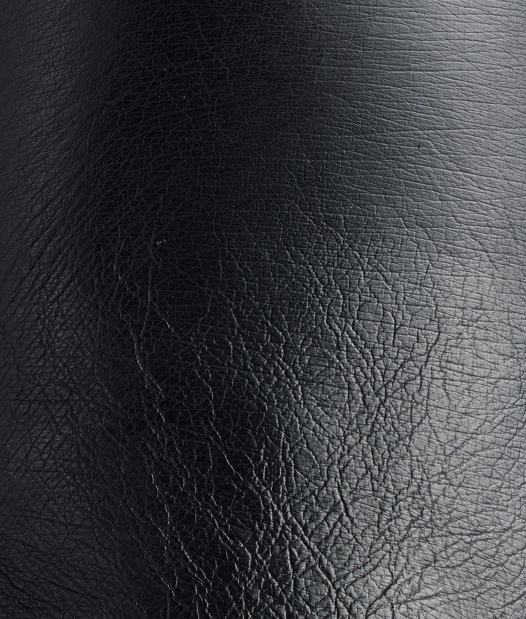 Ridgeline Exotic Pull On :: Black - Image 10