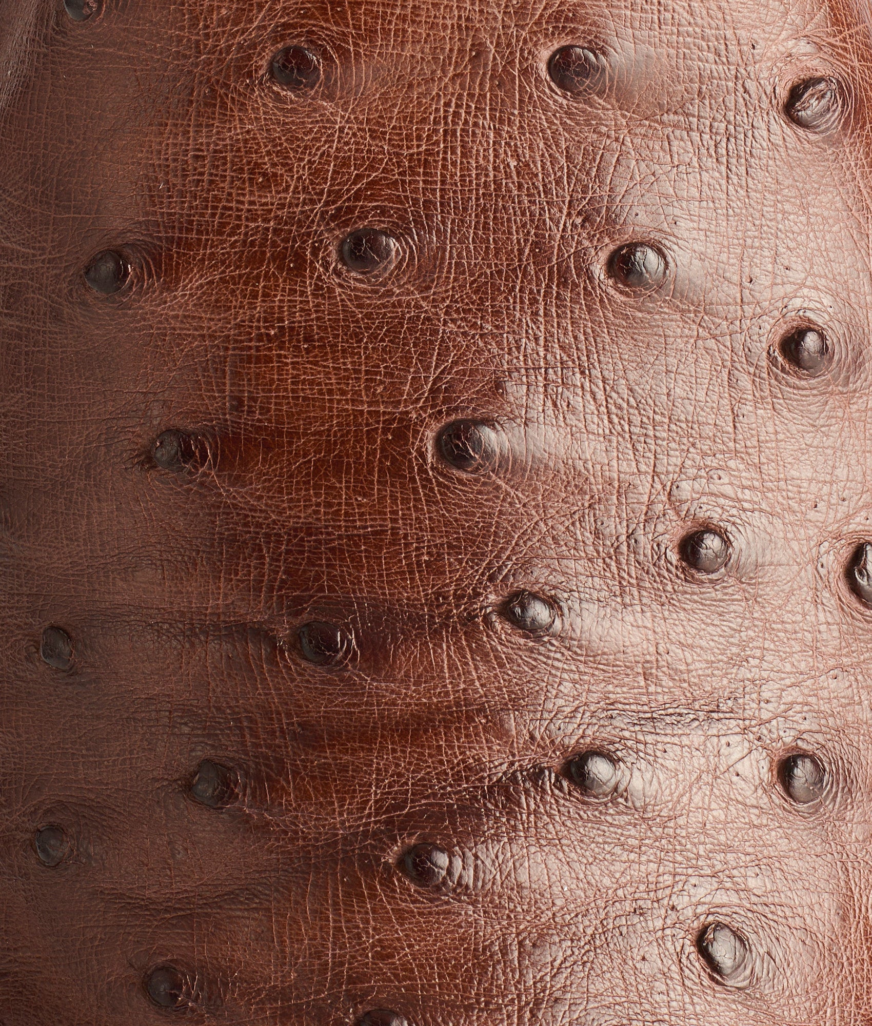 Randall :: Sienna + Pecan - Image 17