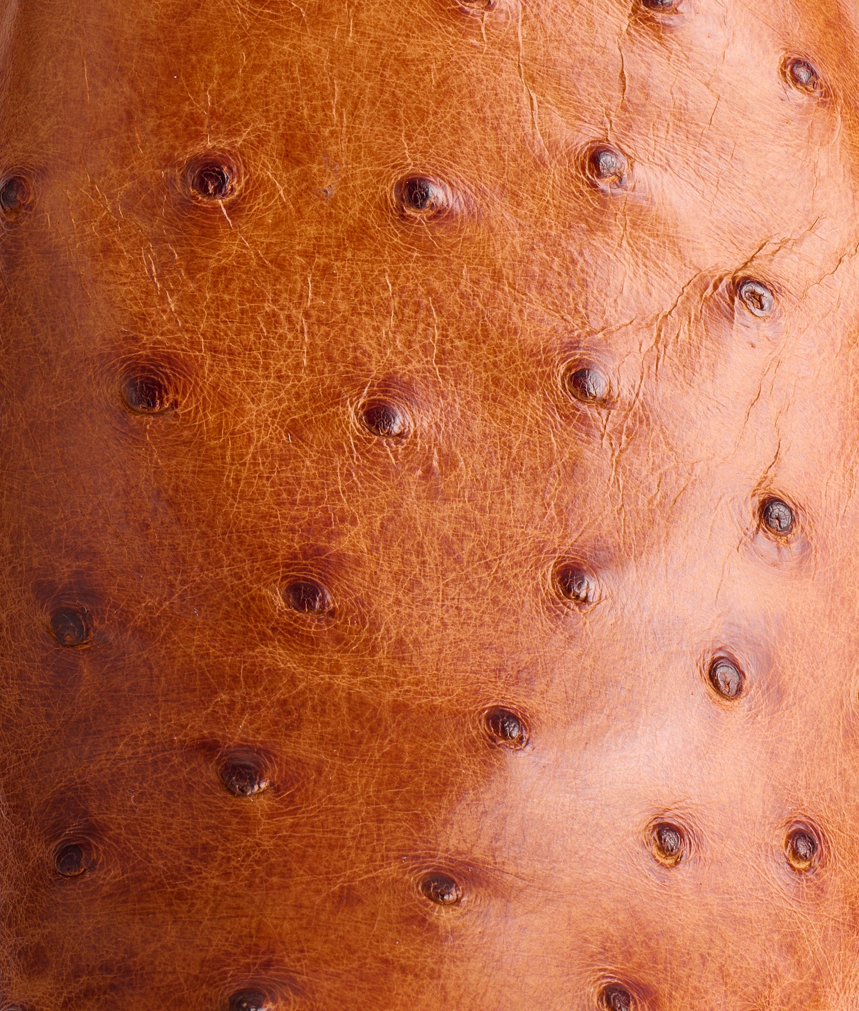 The Bevo :: Barnwood - Image 10