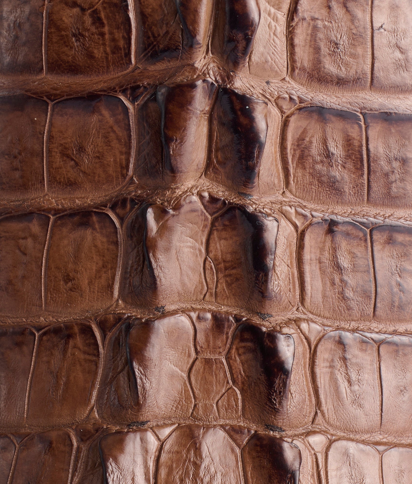 Haan :: Tan + Chocolate - Image 8