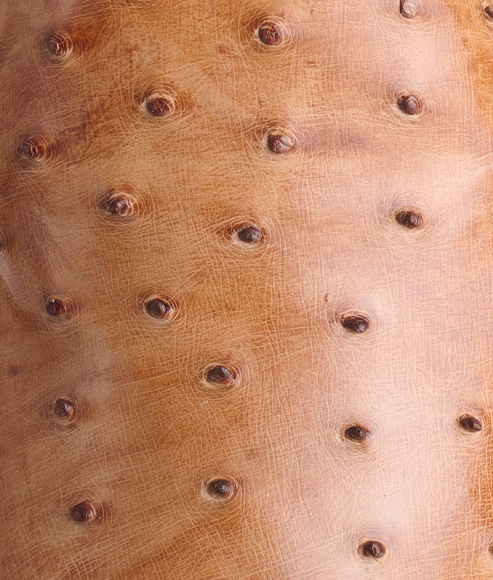 Harmon :: Barnwood + Tan - Image 8