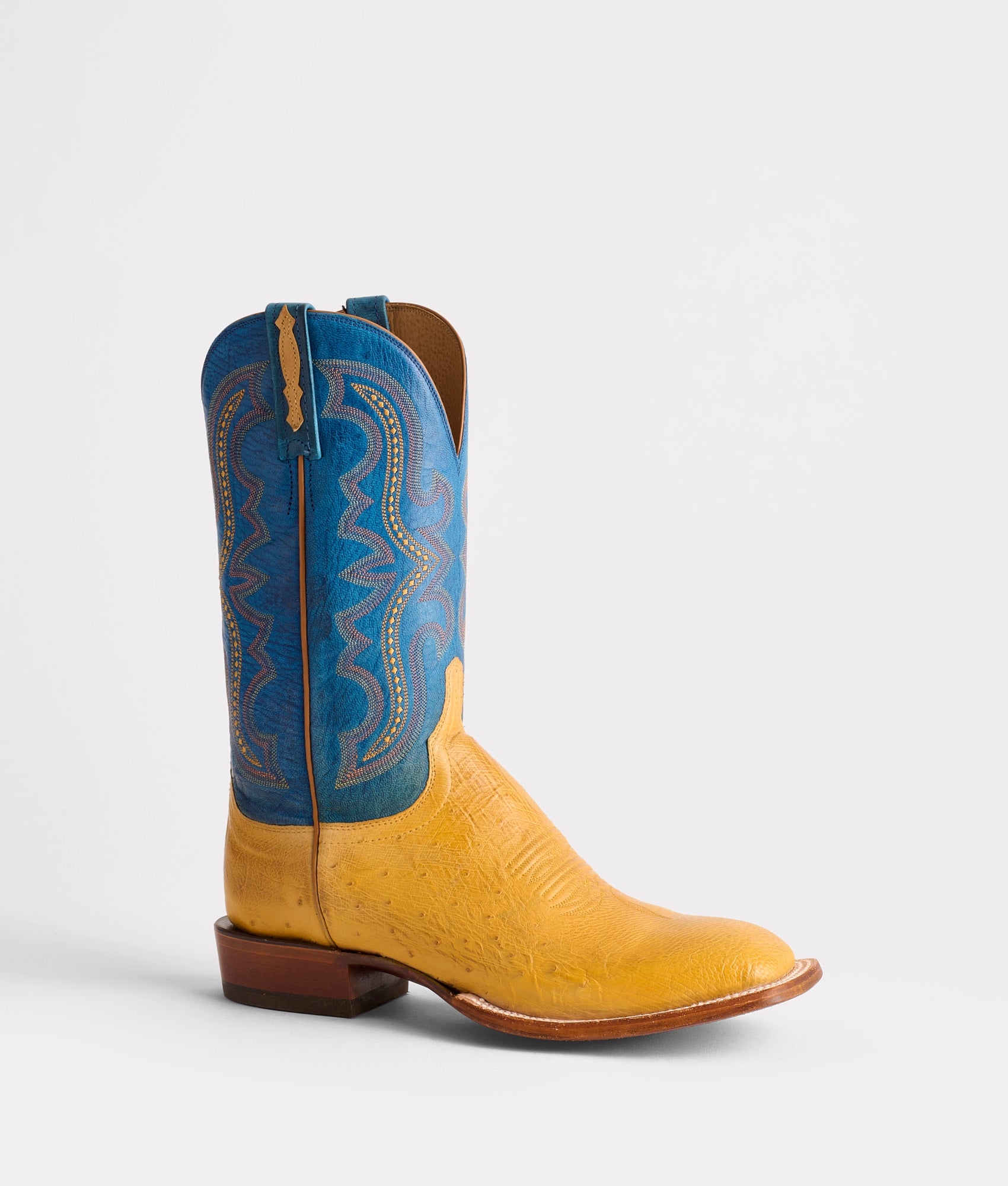 Cecil Exotic :: Saddle - Image 5