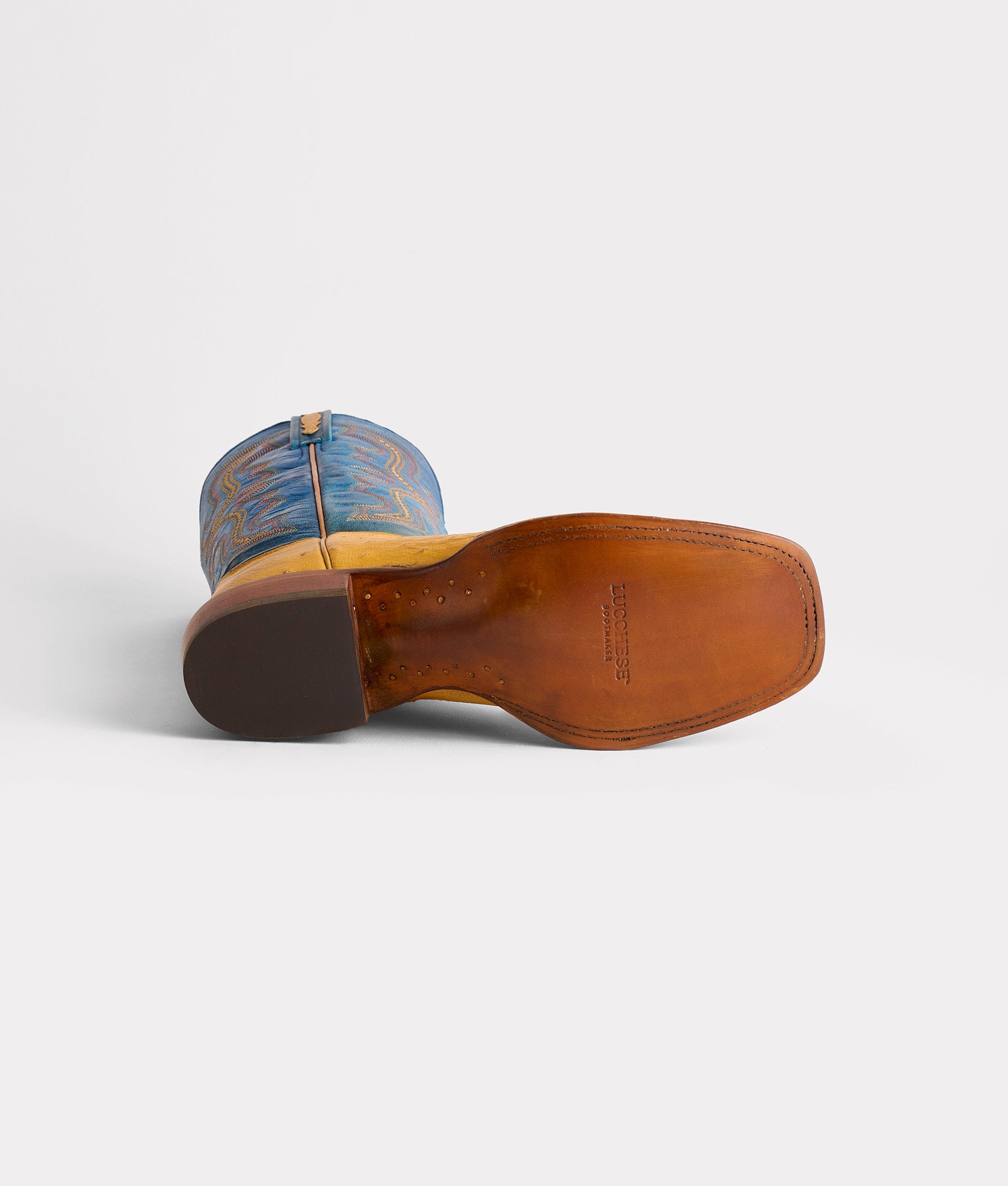 Cecil Exotic :: Saddle - Image 6