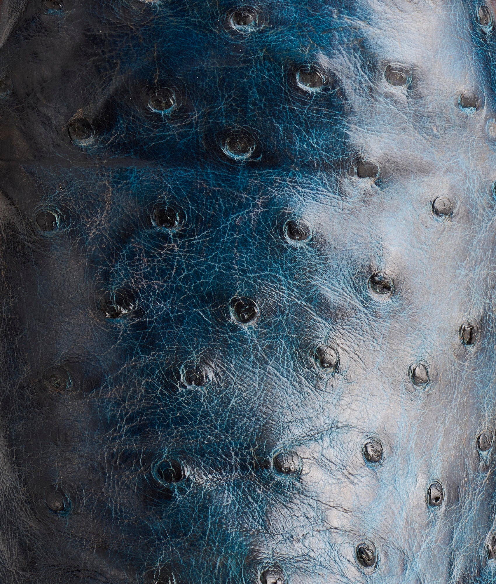 Cliff :: Navy + Chocolate - Image 7