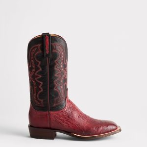 Cecil Exotic :: Black Cherry