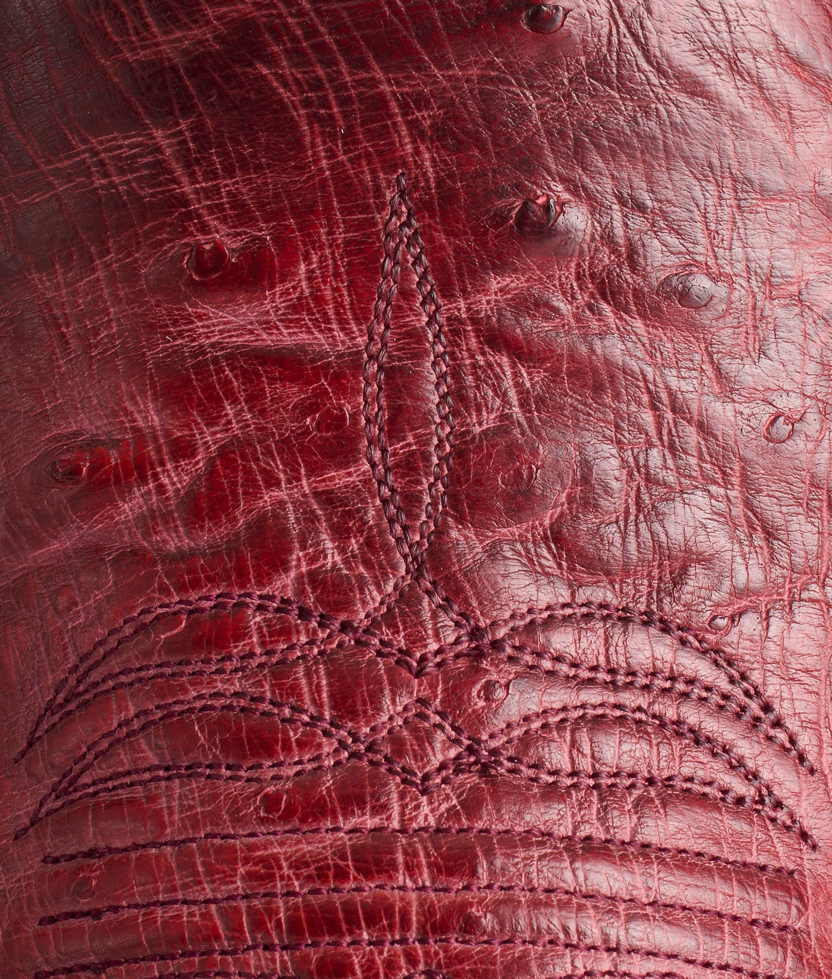 Cecil Exotic :: Black Cherry - Image 7