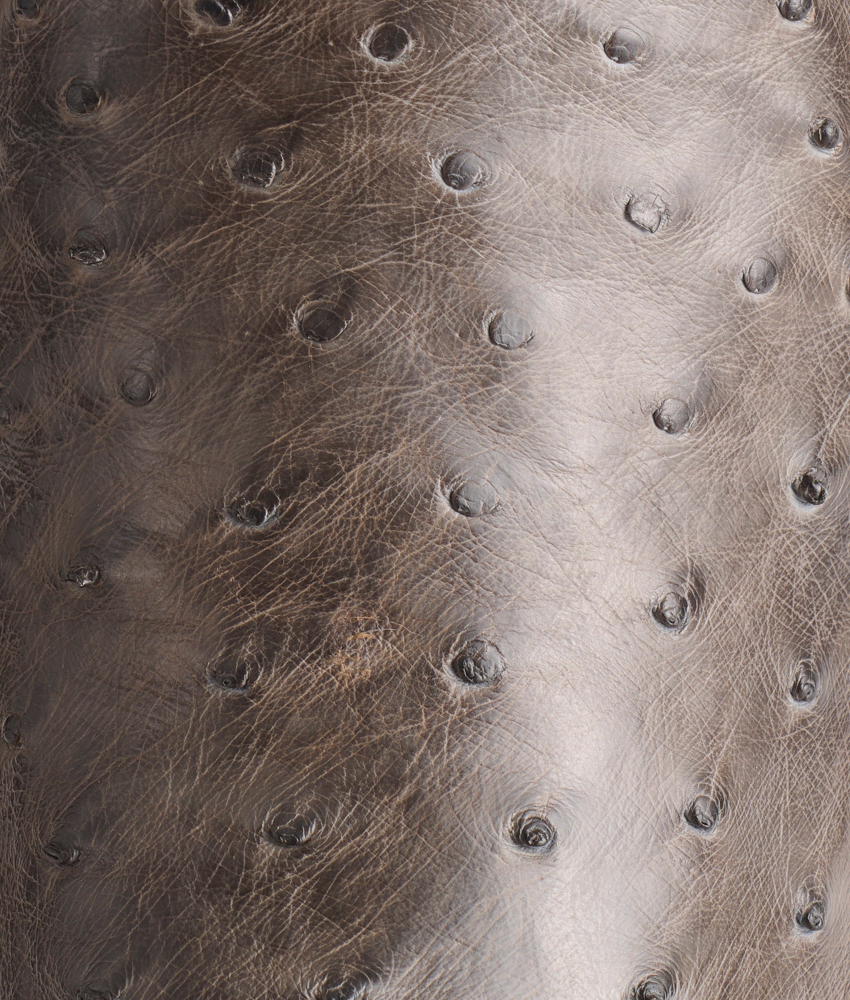 Cliff :: Anthracite - Image 8