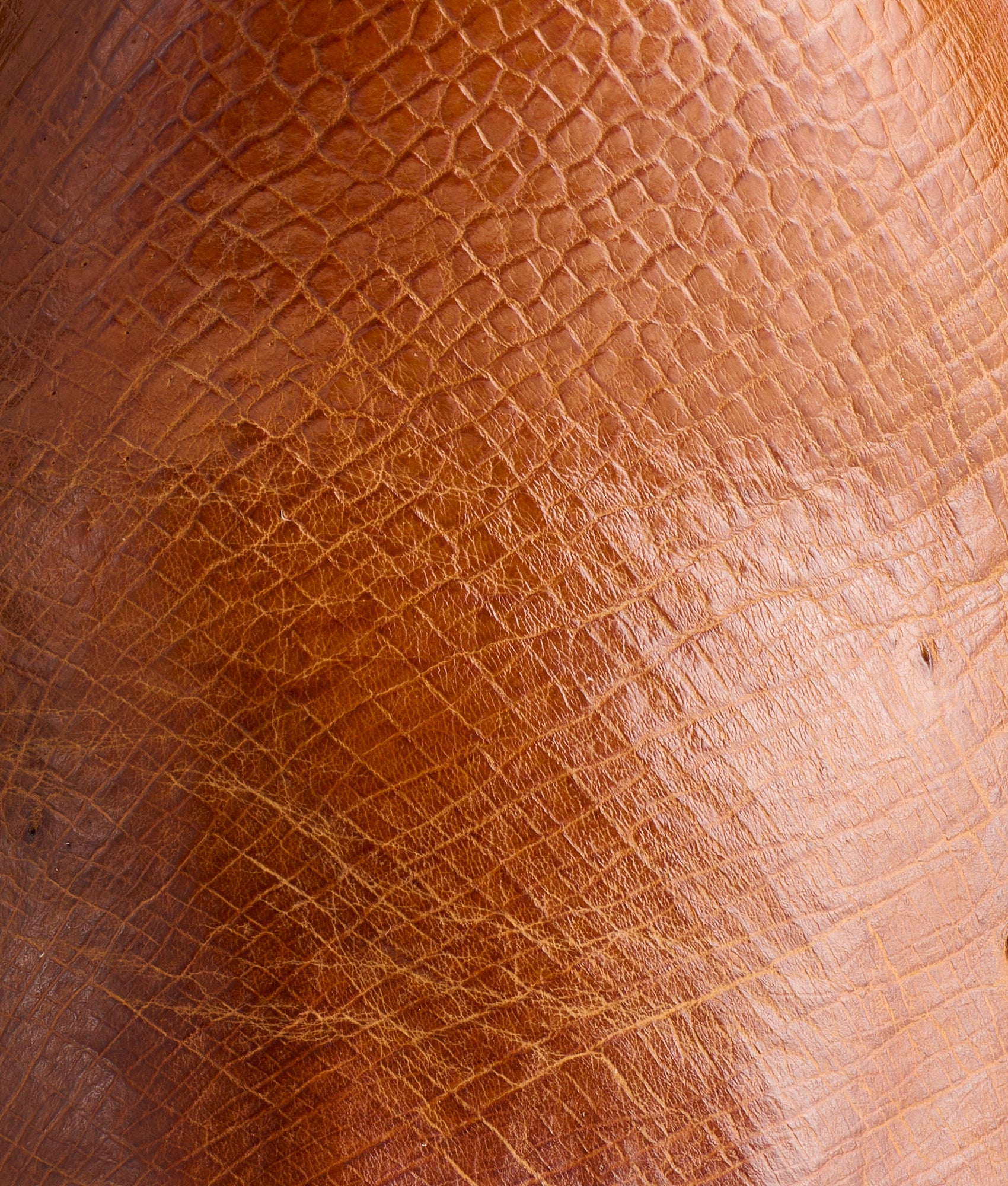 Sunset Exotic :: Cognac - Image 8