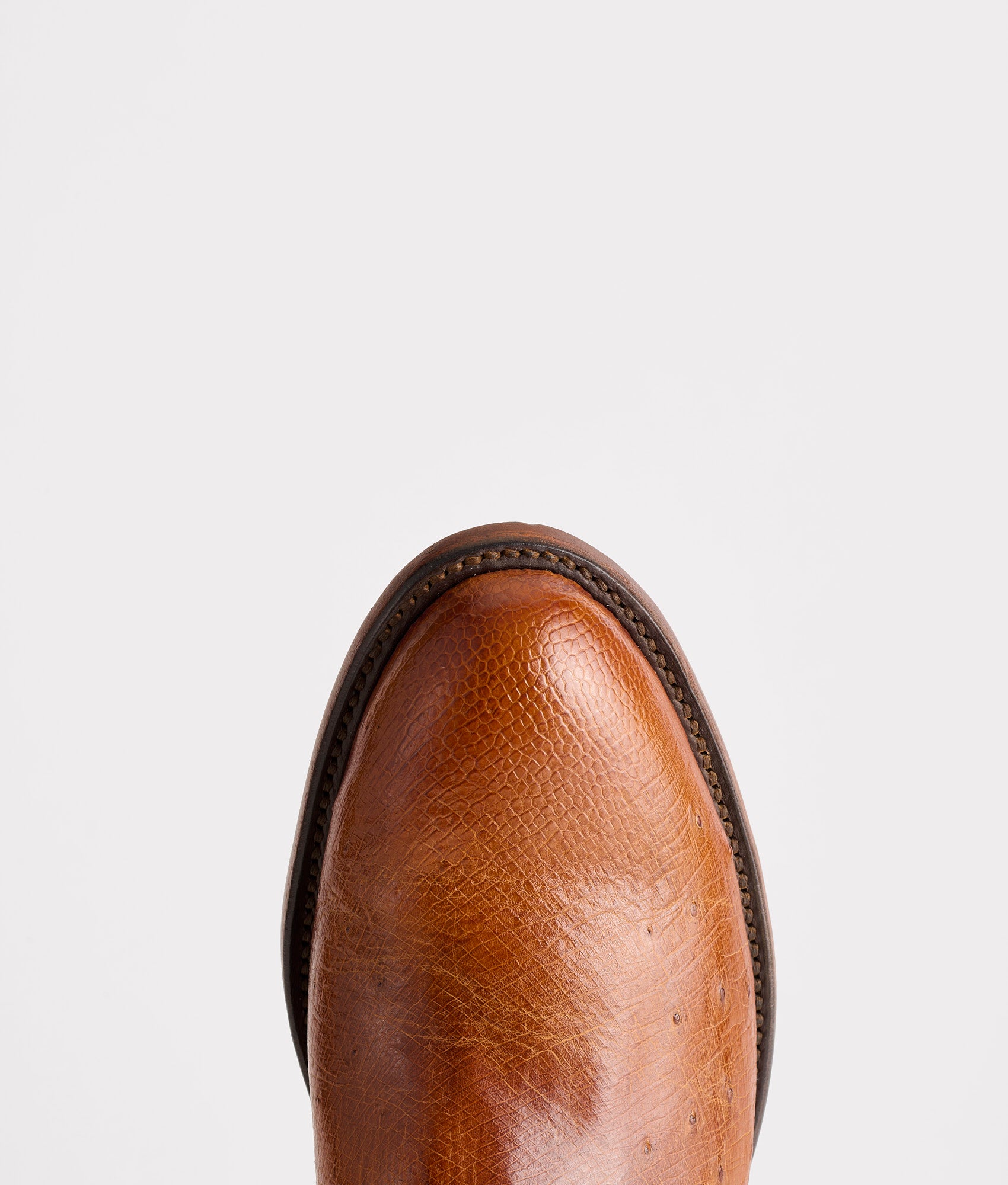 Sunset Exotic :: Cognac - Image 6