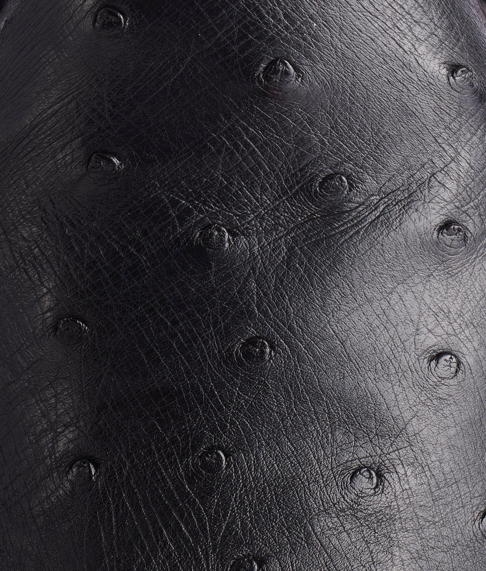 Randall :: Black + Cognac - Image 8