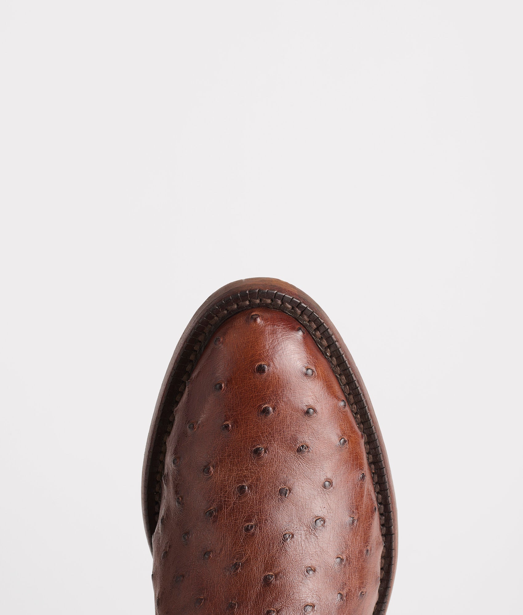 Randall :: Sienna + Pecan - Image 9