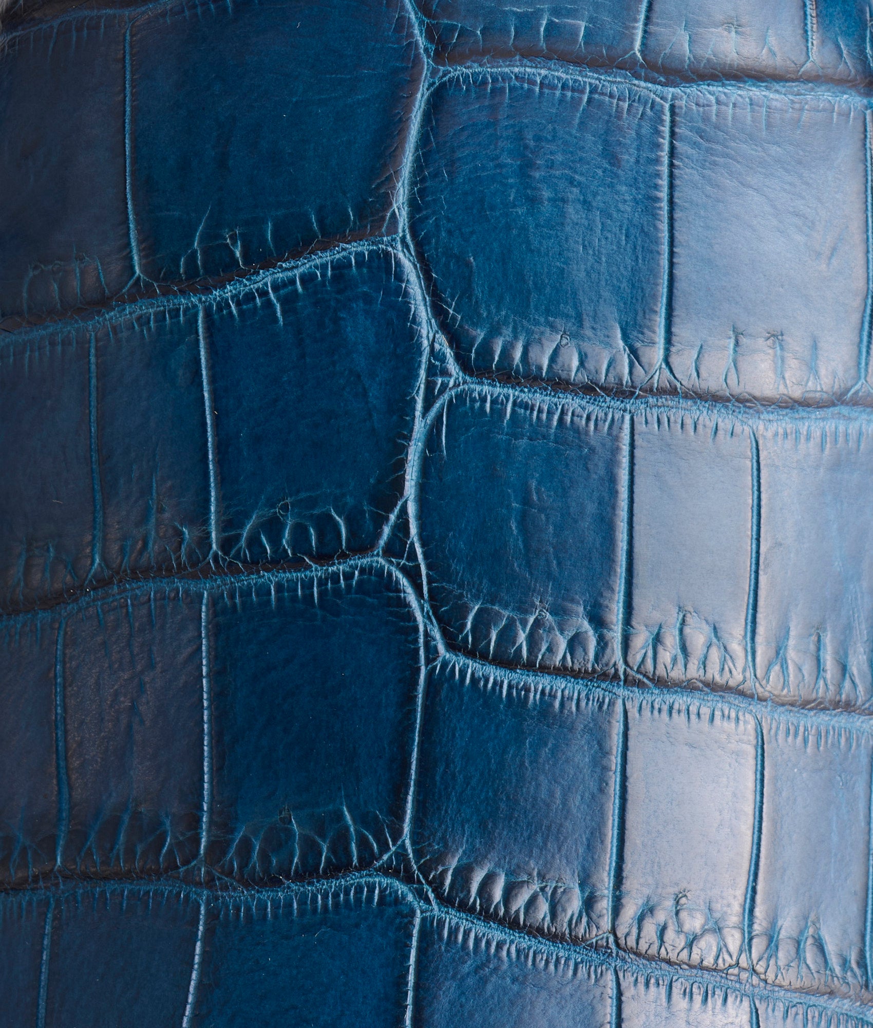 Tulip Exotic :: Navy - Image 7