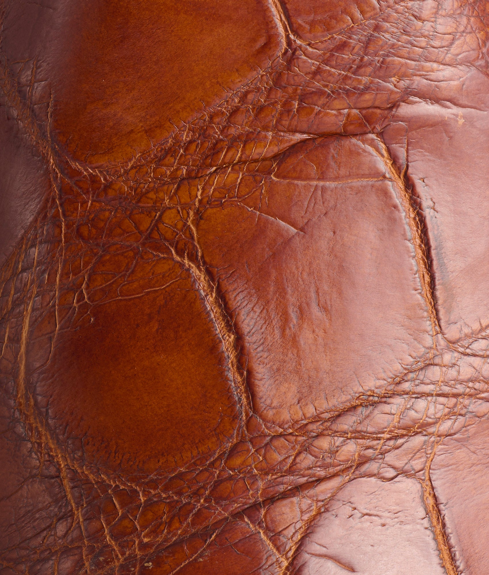 General :: Dark Cognac - Image 10