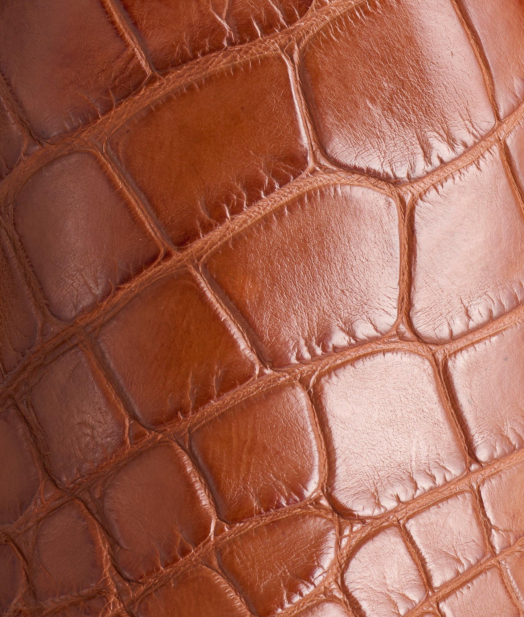 Mission :: Cognac - Image 8