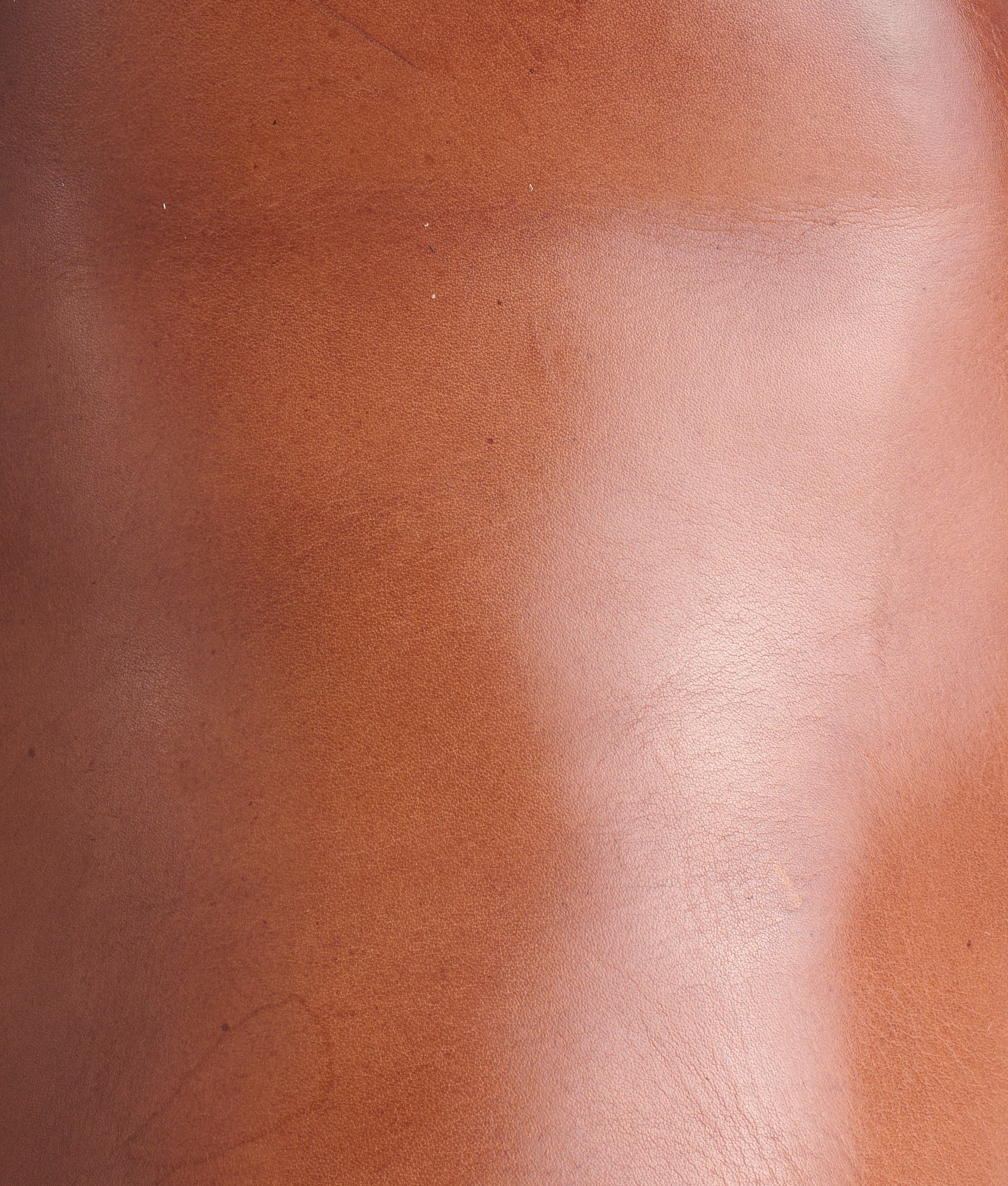 Sumter :: Dark Brown - Image 6