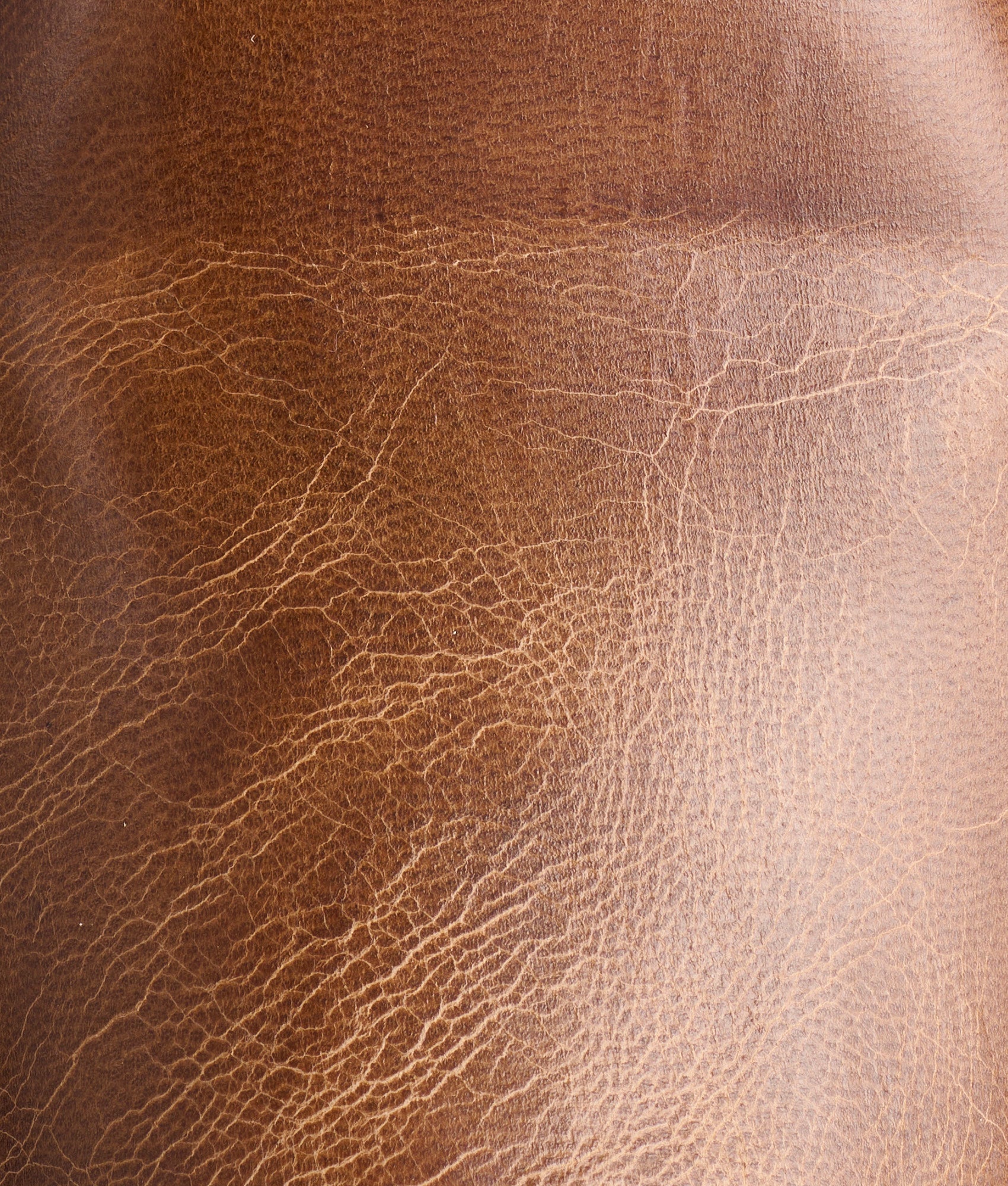 Tanner :: Tan - Image 7