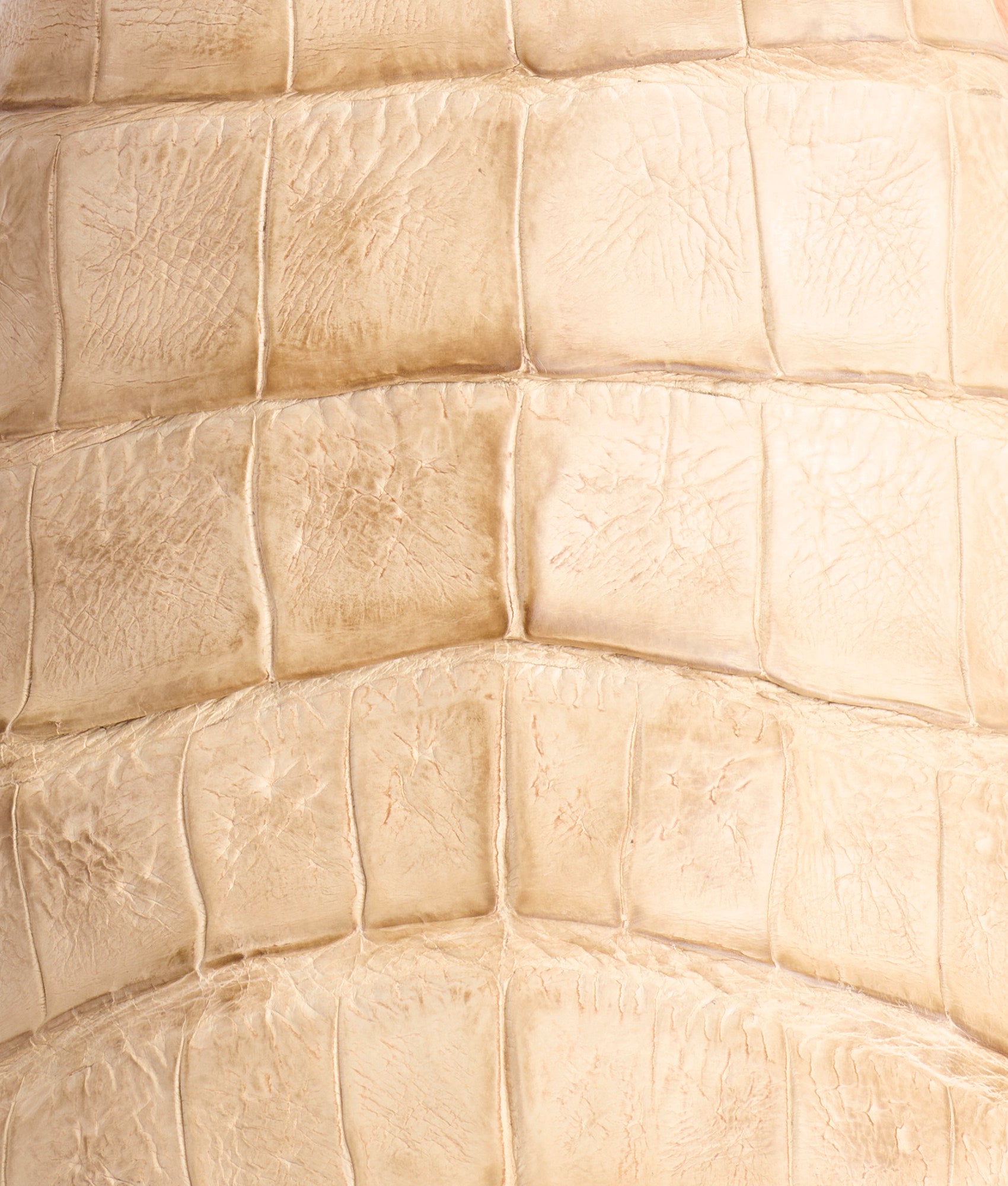 Presley Exotic :: Wheat - Image 7