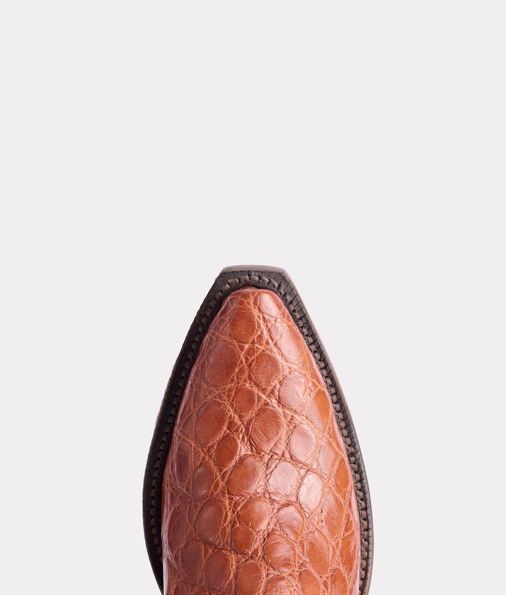 Lady :: Cognac - Image 8