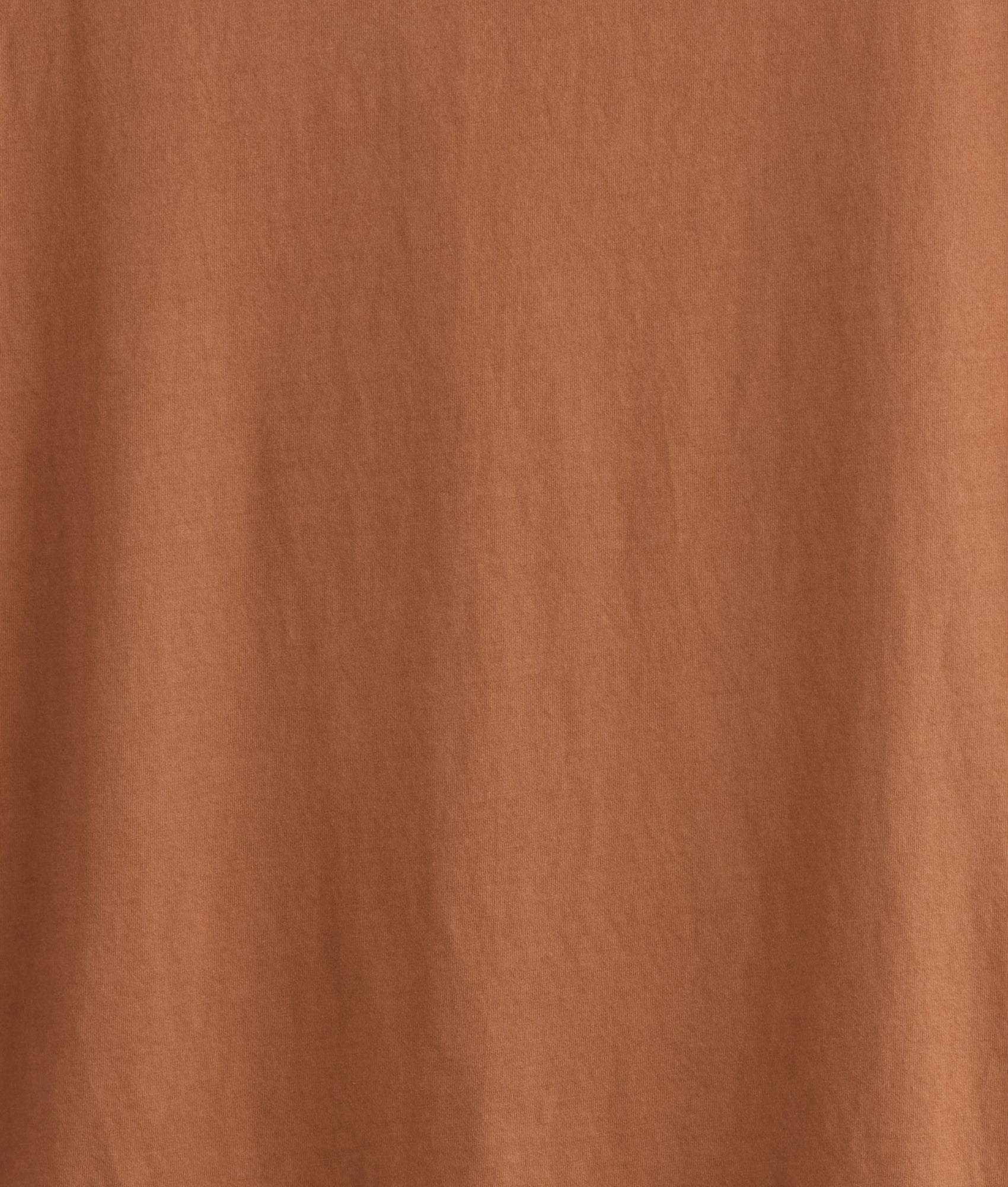 Deserted Tee :: Sienna - Image 6