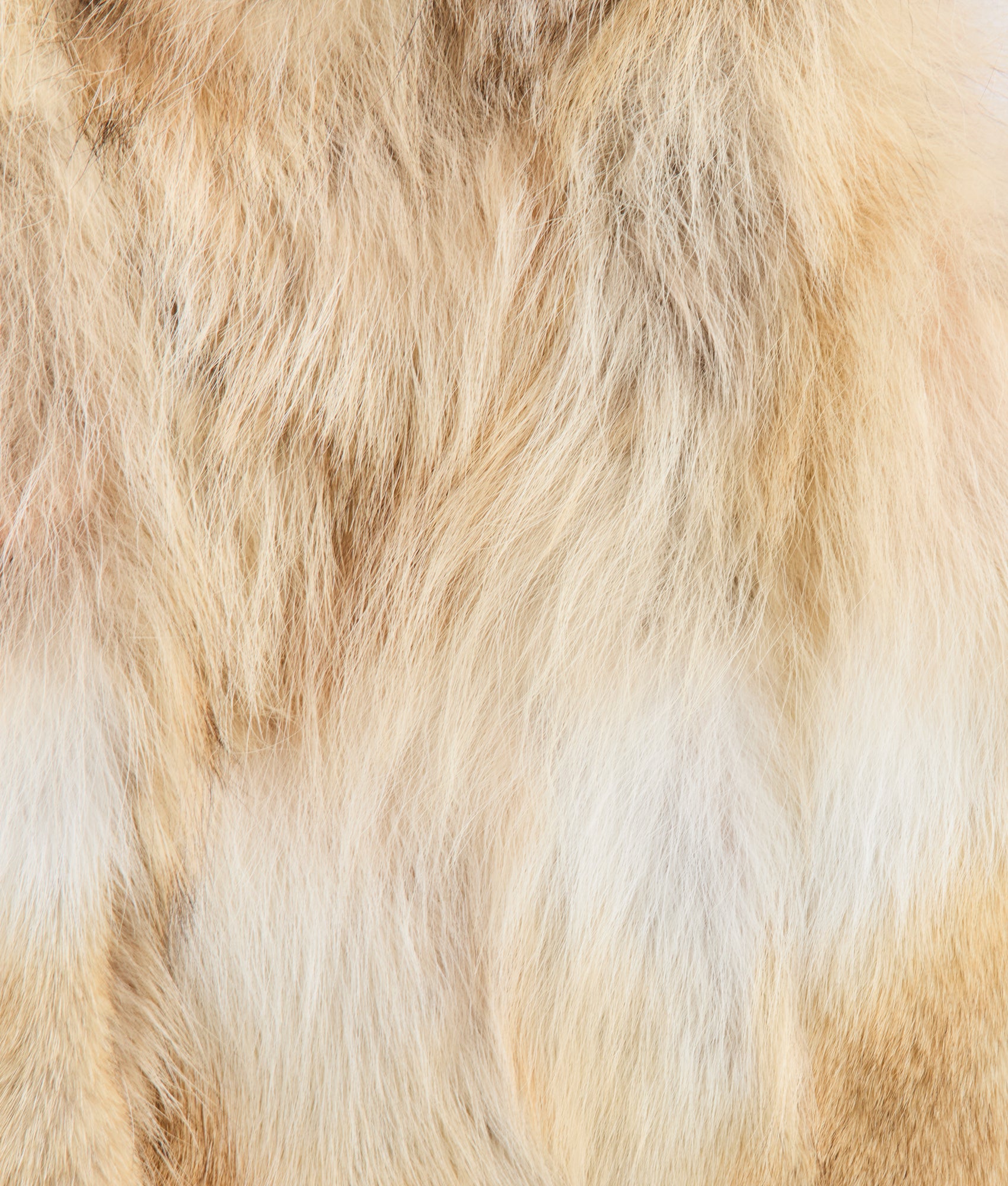 Kirsta Fur Vest :: Natural - Image 6