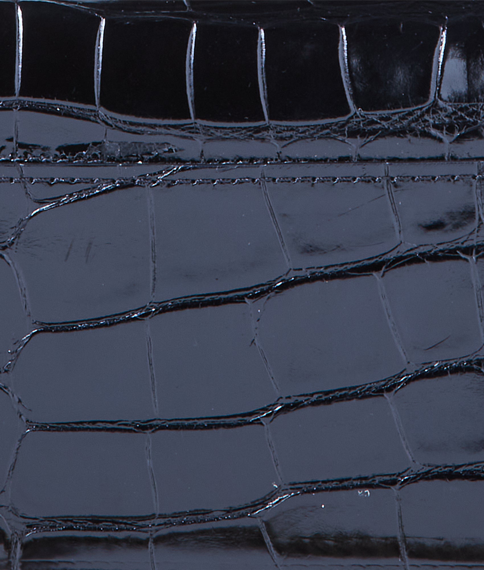 Long Exotic Wallet On A Chain :: Black - Image 9