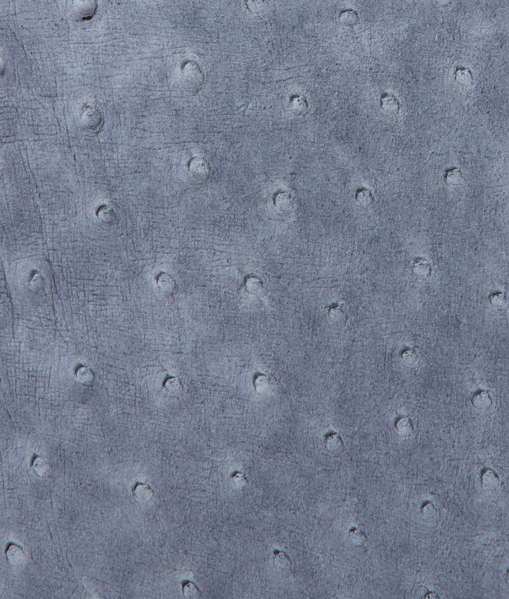 Lauren Exotic Vanity Tote :: Storm Blue - Image 9