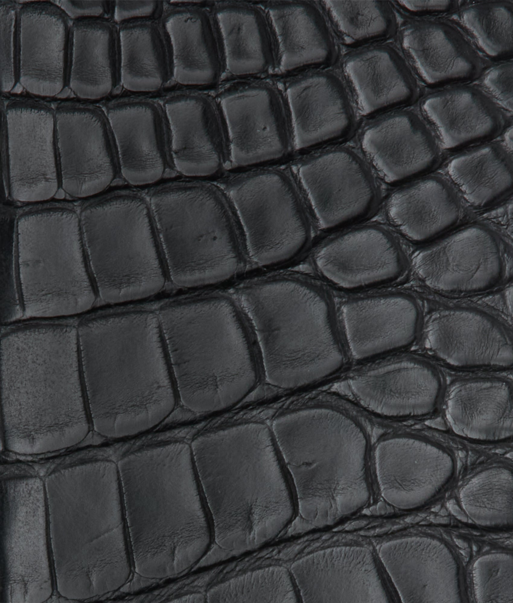 Bifold Wallet - American Alligator :: Black - Image 4