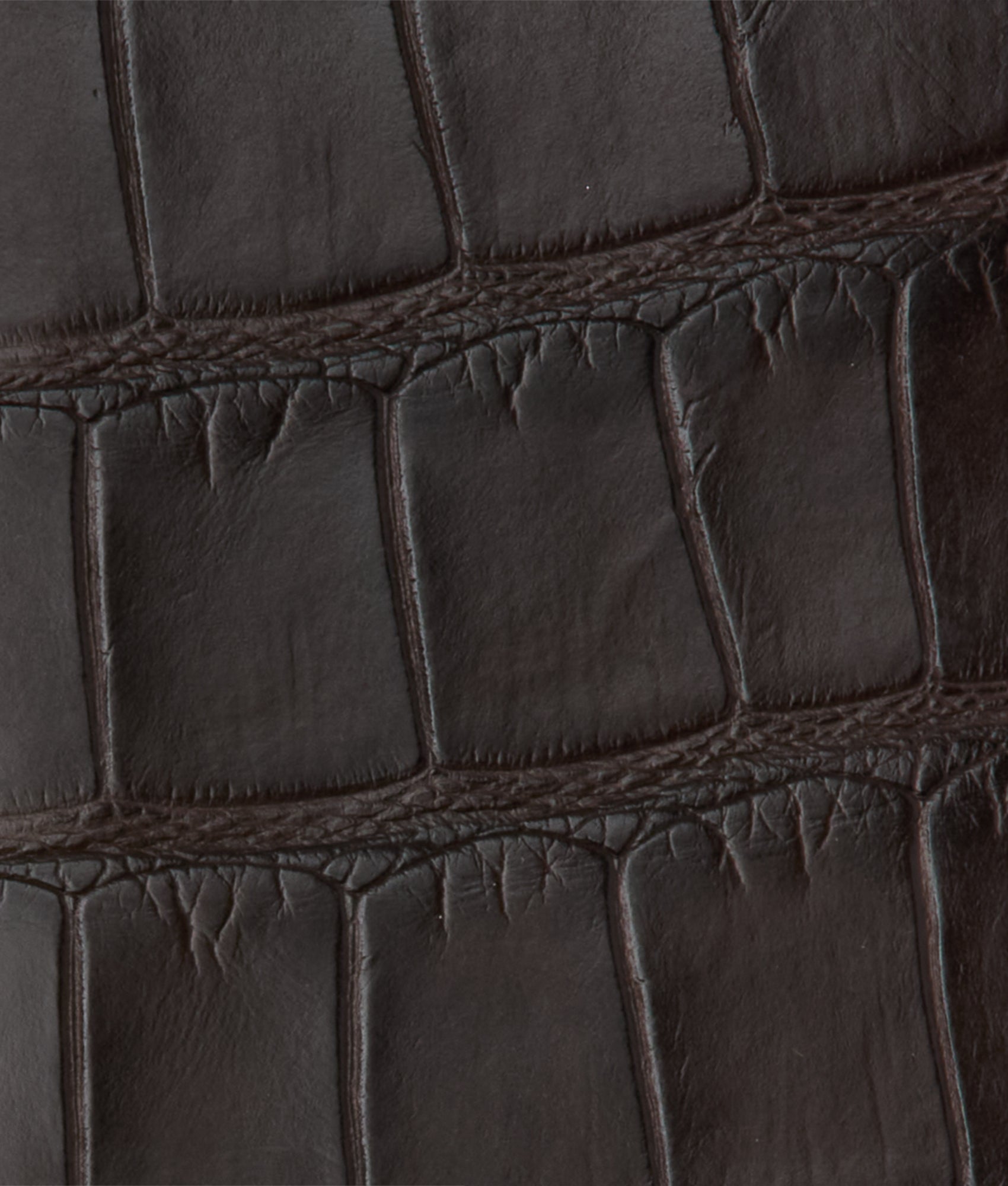 Bifold Wallet - American Alligator :: Chocolate - Image 4