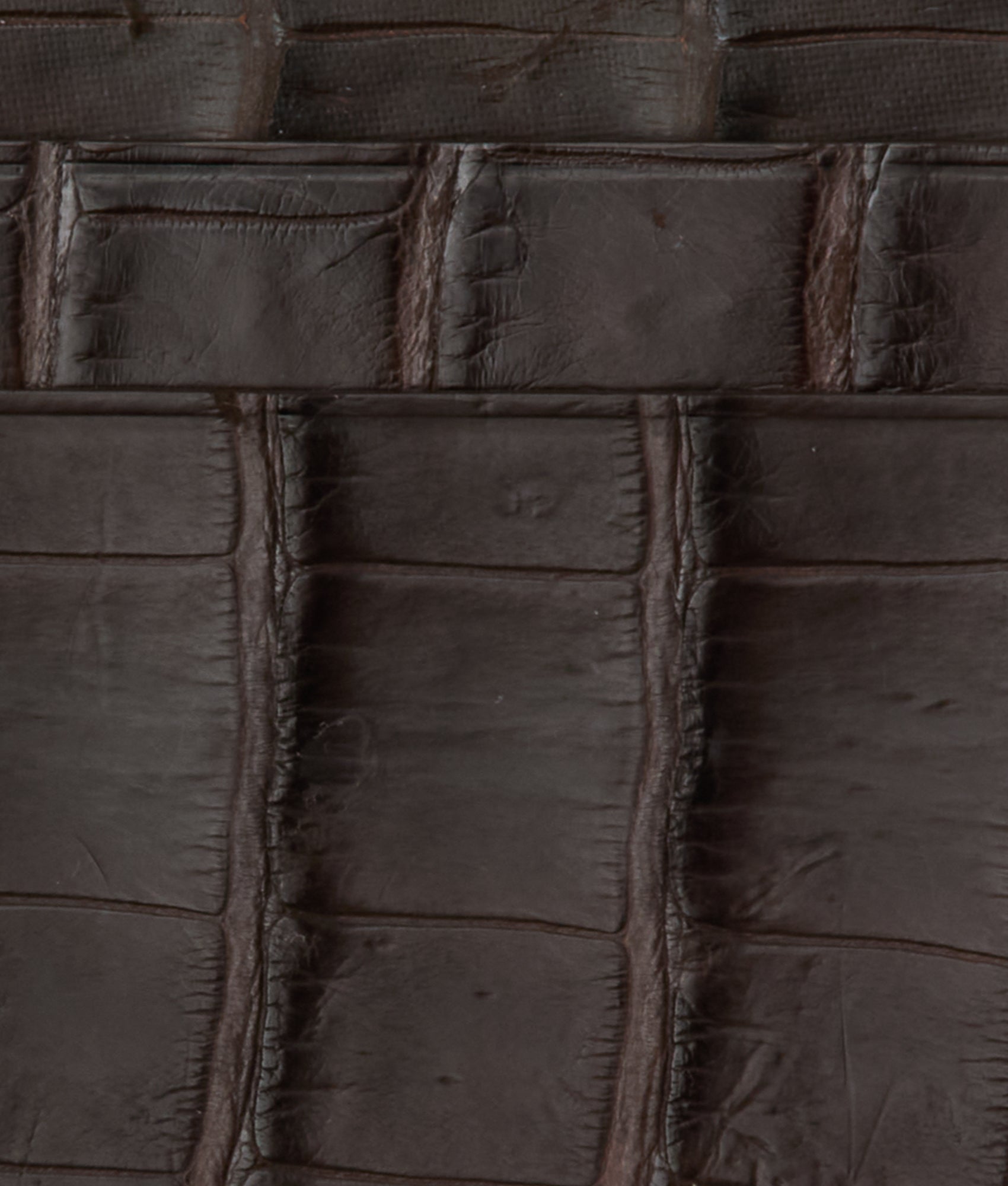 Card Case - American Alligator :: Chocolate - Image 3