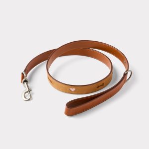 Dog Leash :: Tan