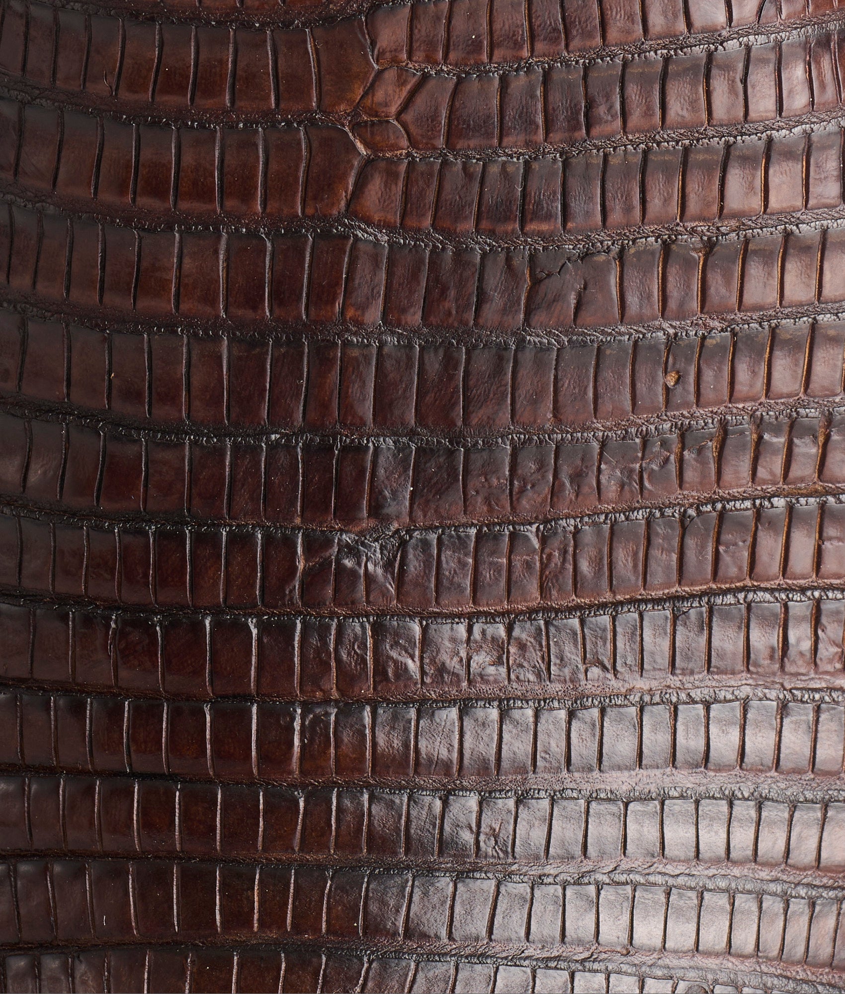 Percy :: Antique Tan + Tan - Image 7