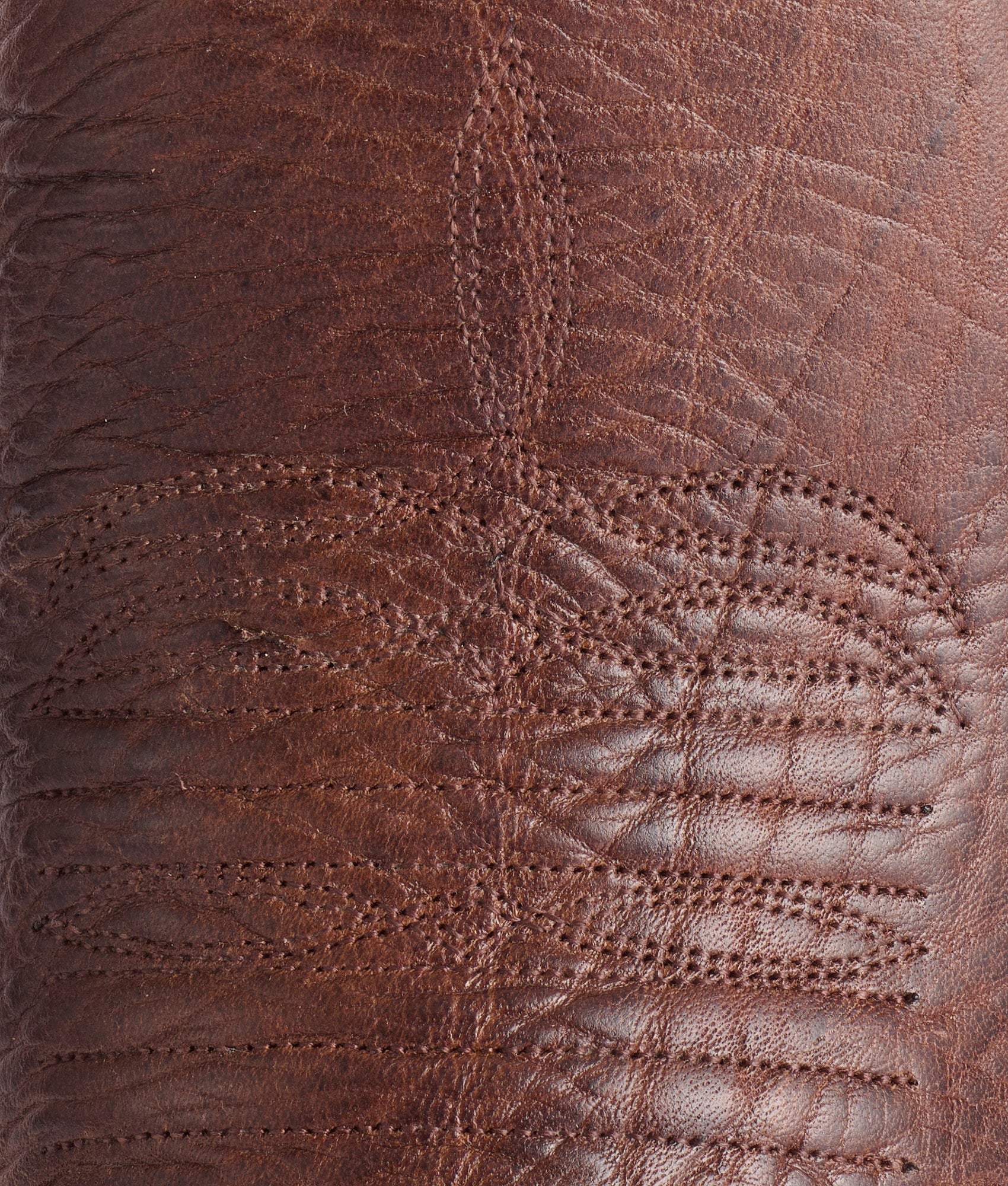 Rudy :: Chocolate + Peanut - Image 7