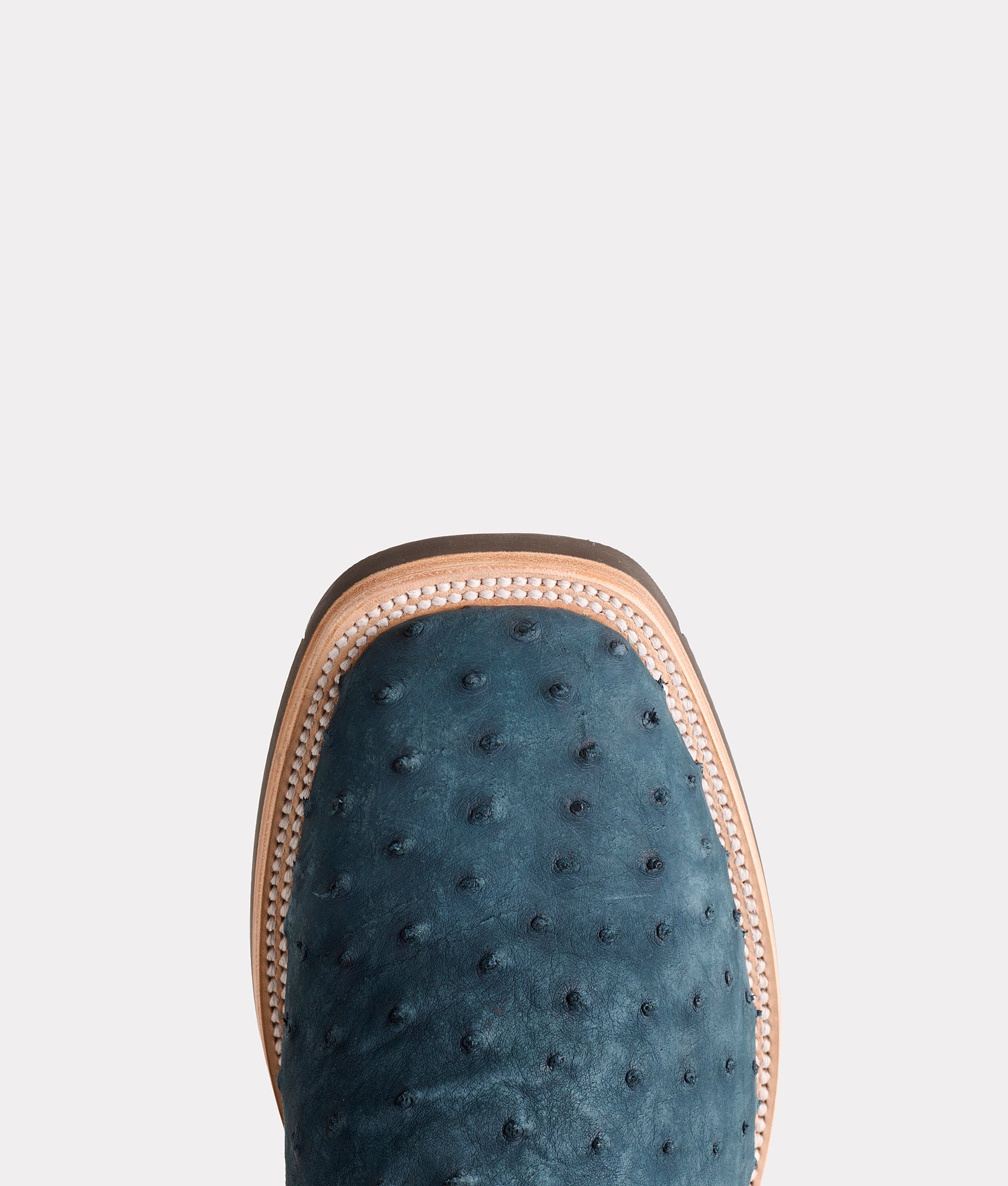 Rowdy Ostrich :: Navy - Image 7