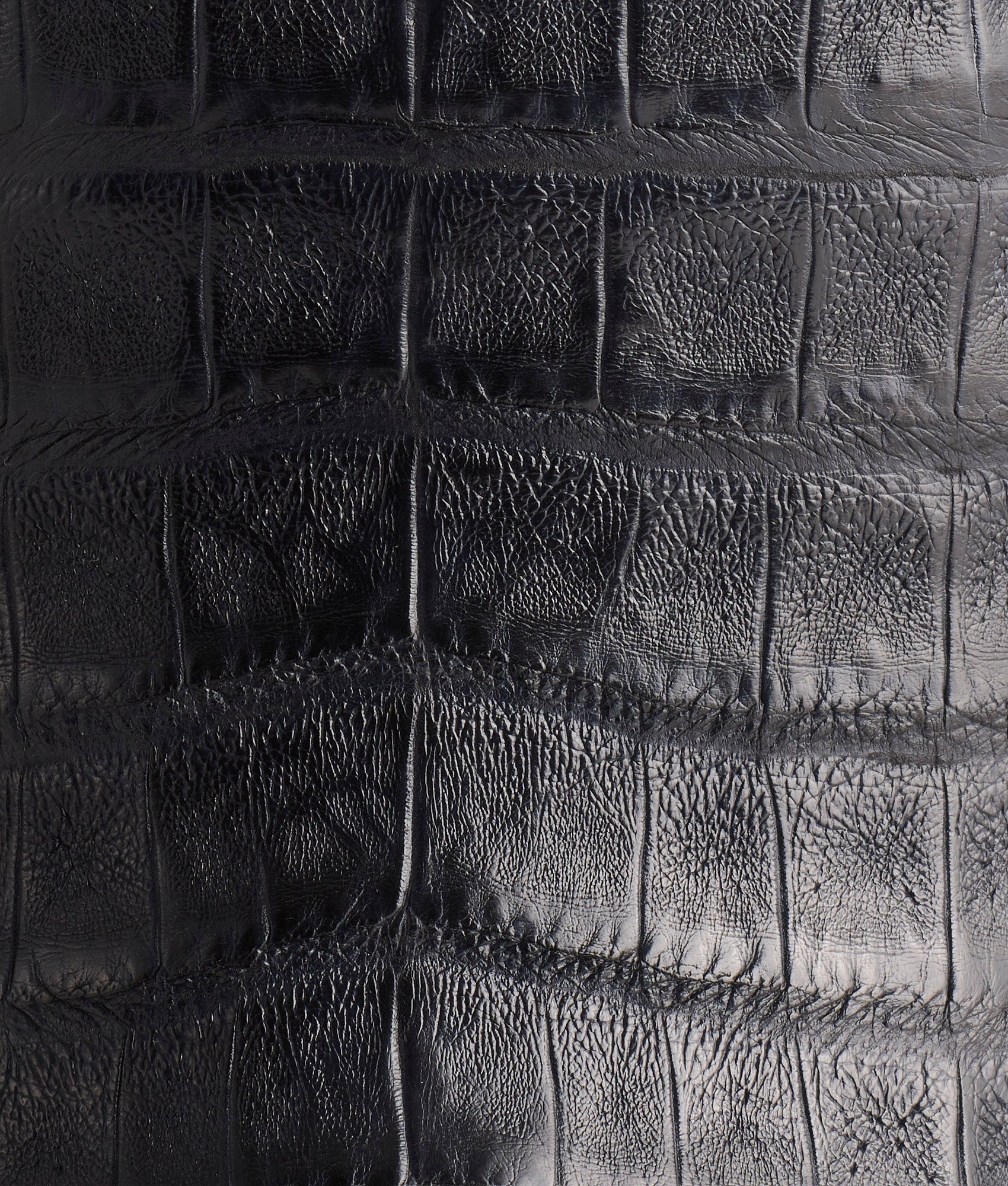 Charleston :: Navy - Image 7