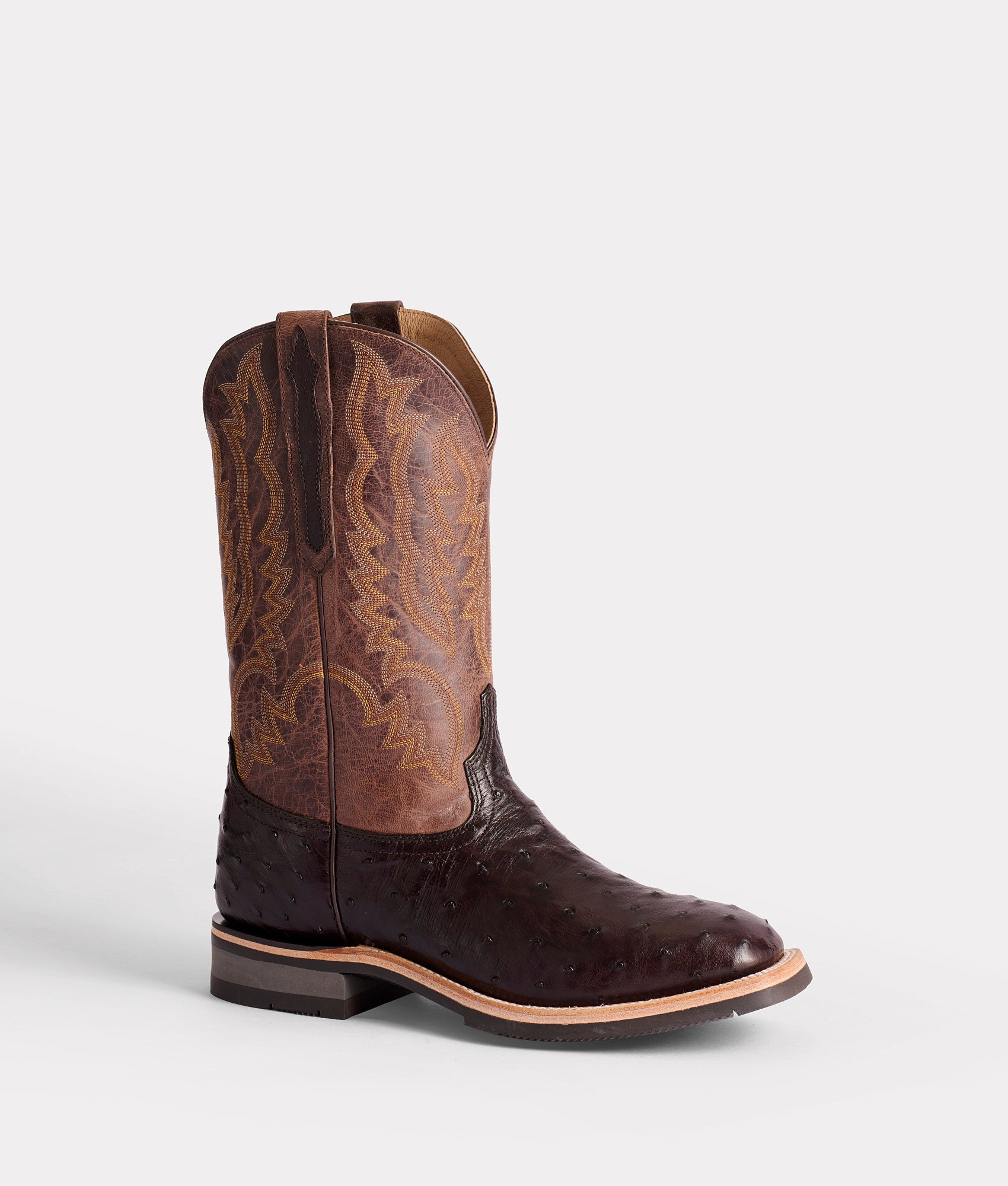 Rowdy Ostrich :: Antique Chocolate - Image 3