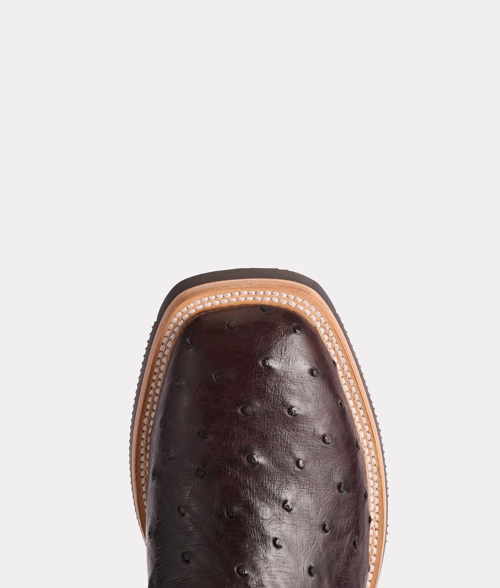 Rowdy Ostrich :: Antique Chocolate - Image 6