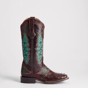 Amberlyn :: Chocolate