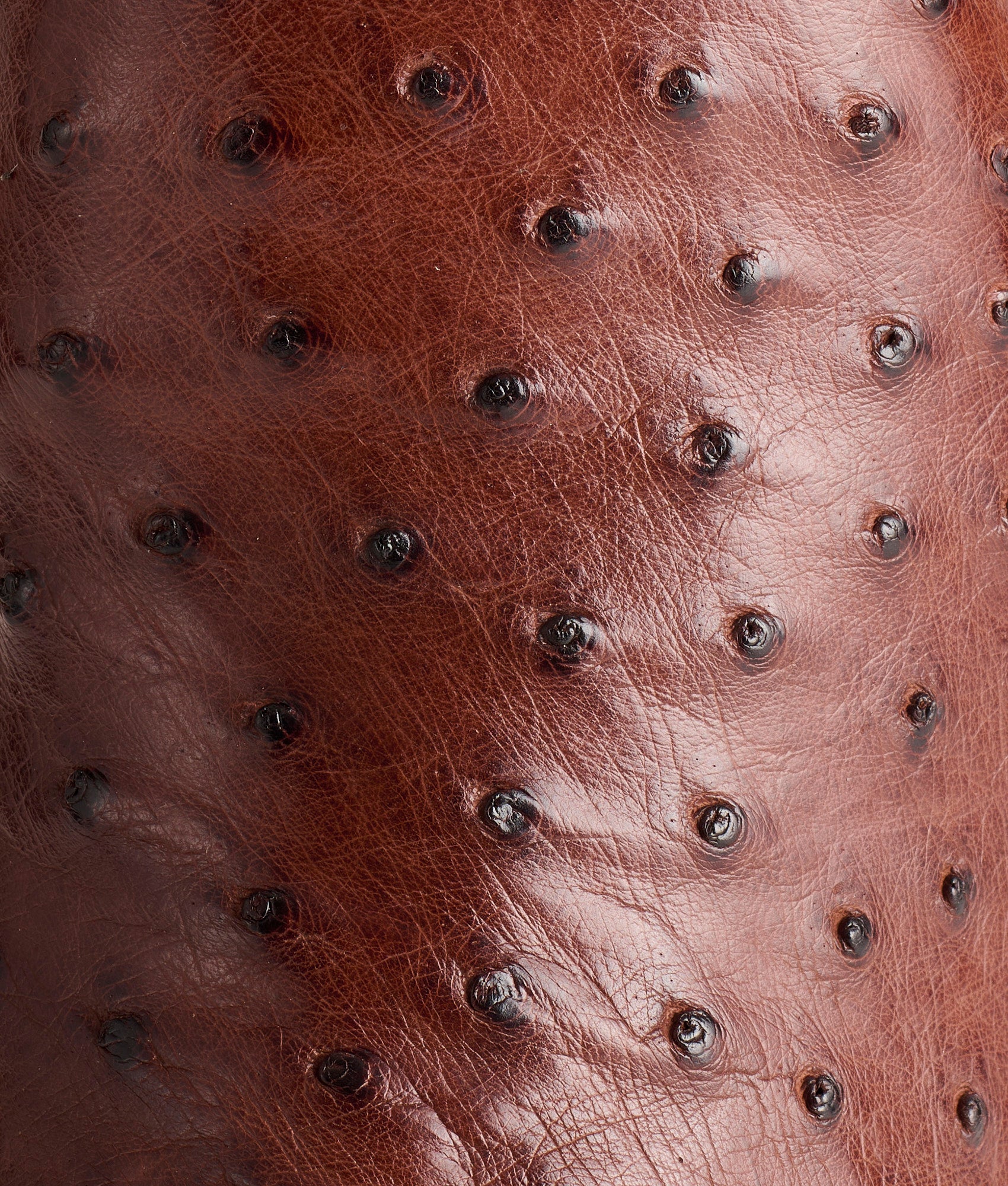 The Olsen :: Chocolate - Image 10