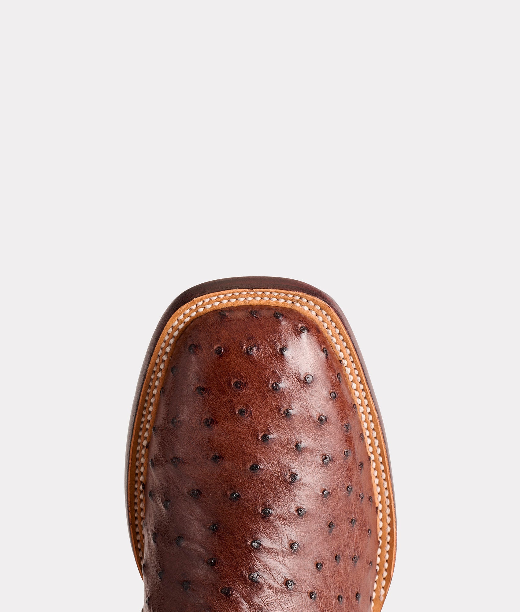 The Olsen :: Chocolate - Image 8