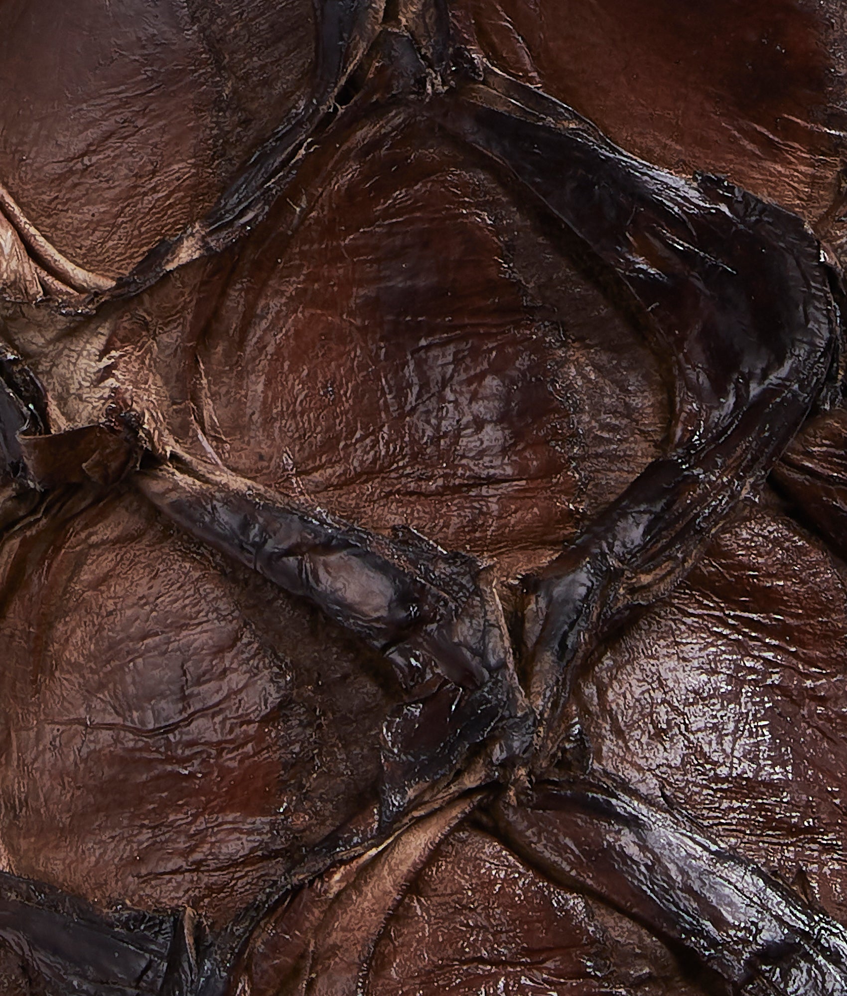 Murphy :: Chocolate - Image 8