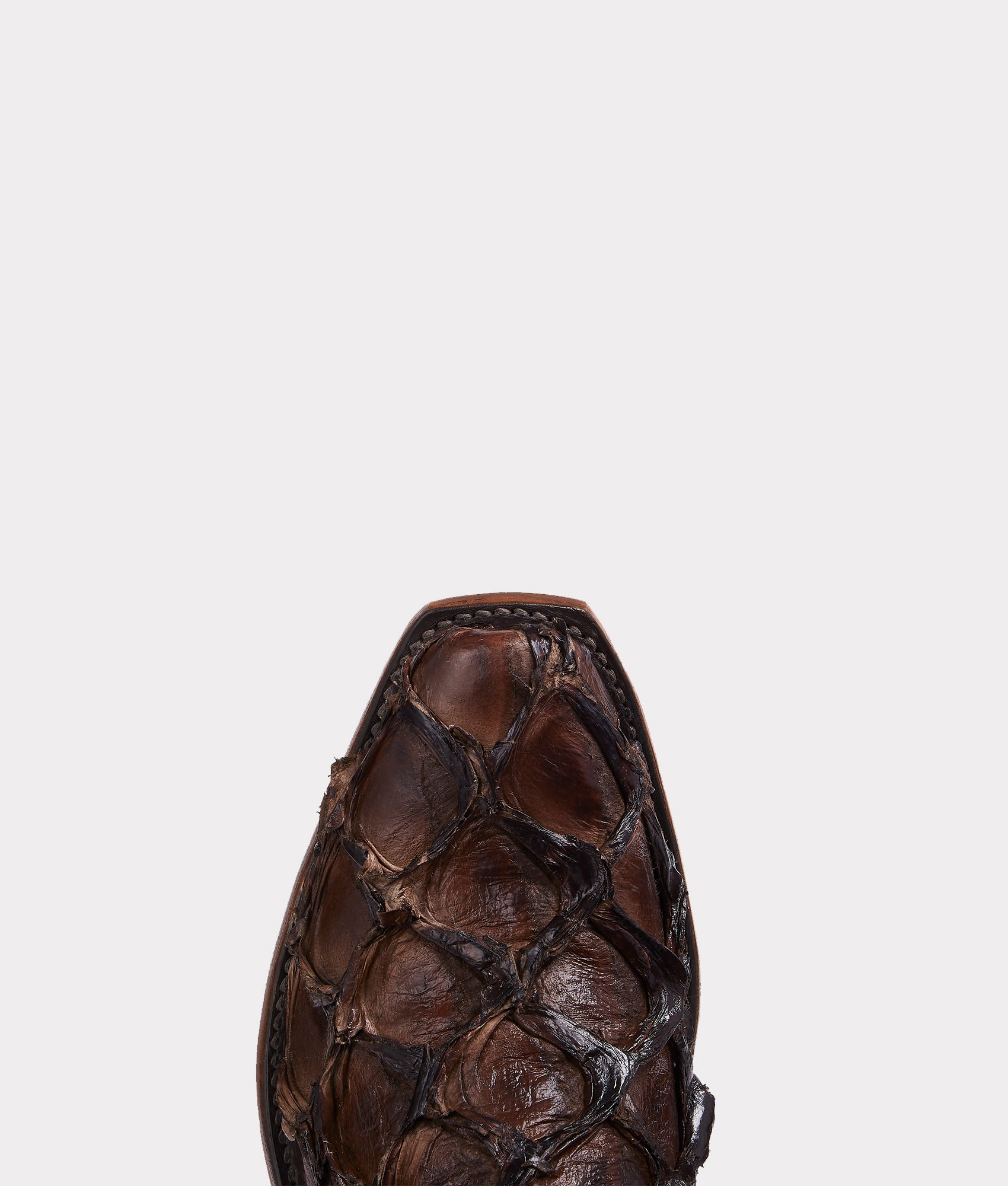 Murphy :: Chocolate - Image 7