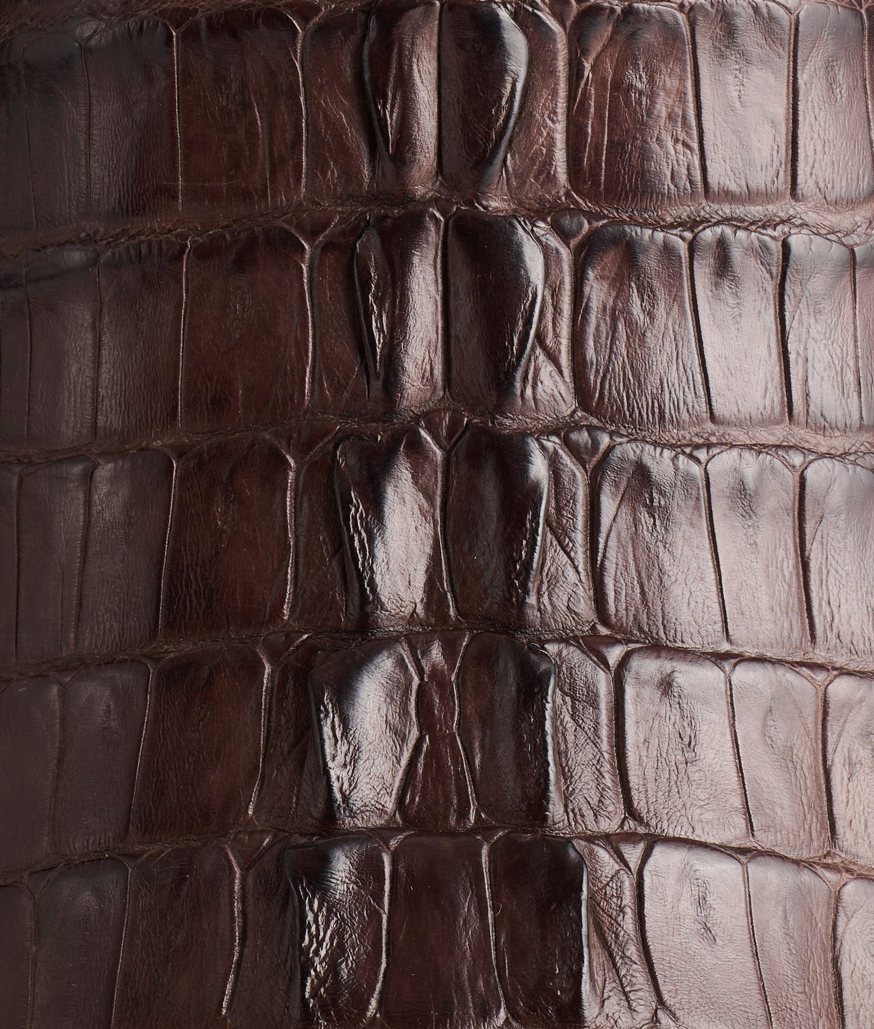 Franklin :: Barrel Brown + Chocolate - Image 7