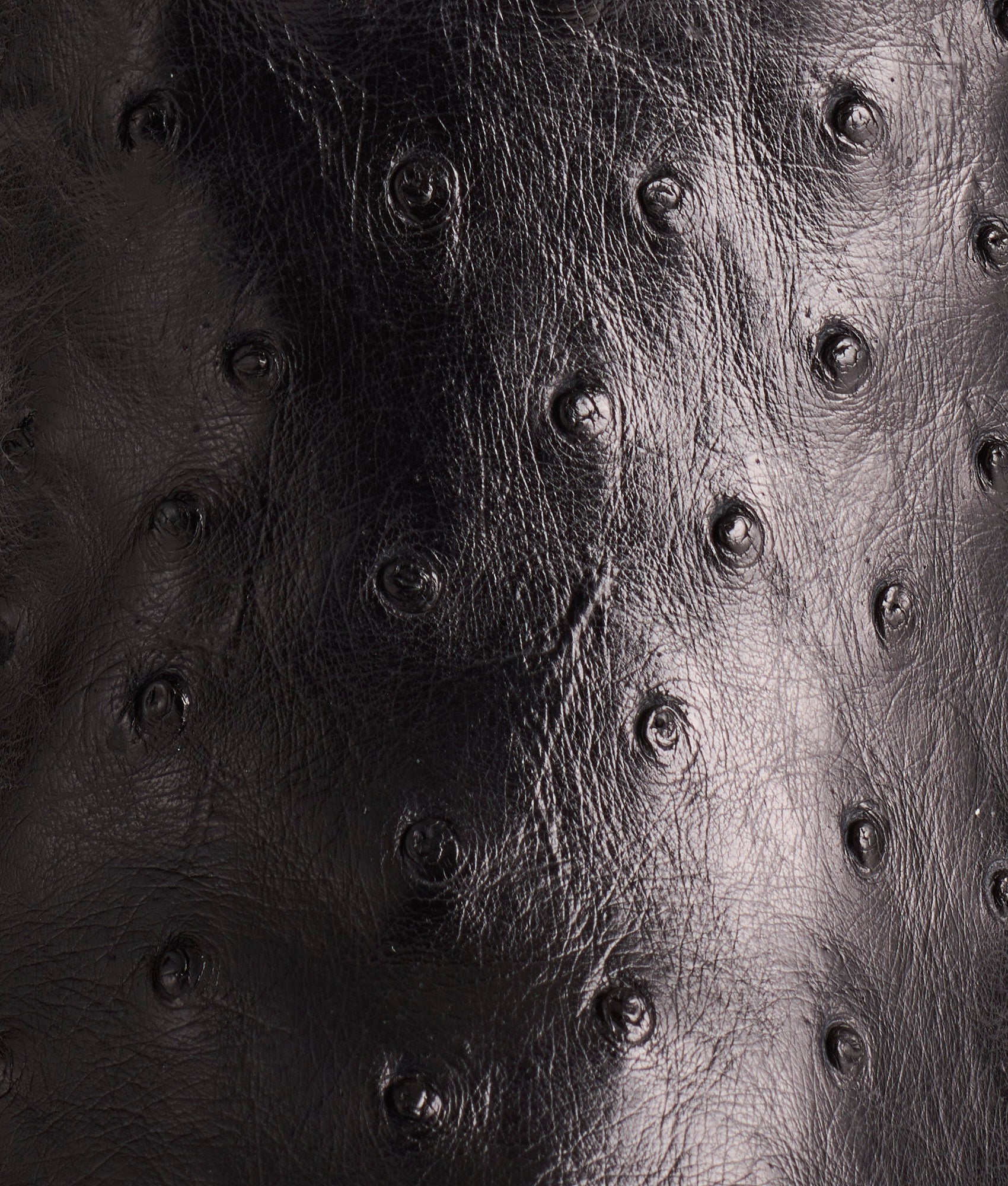 Luke :: Black - Image 15