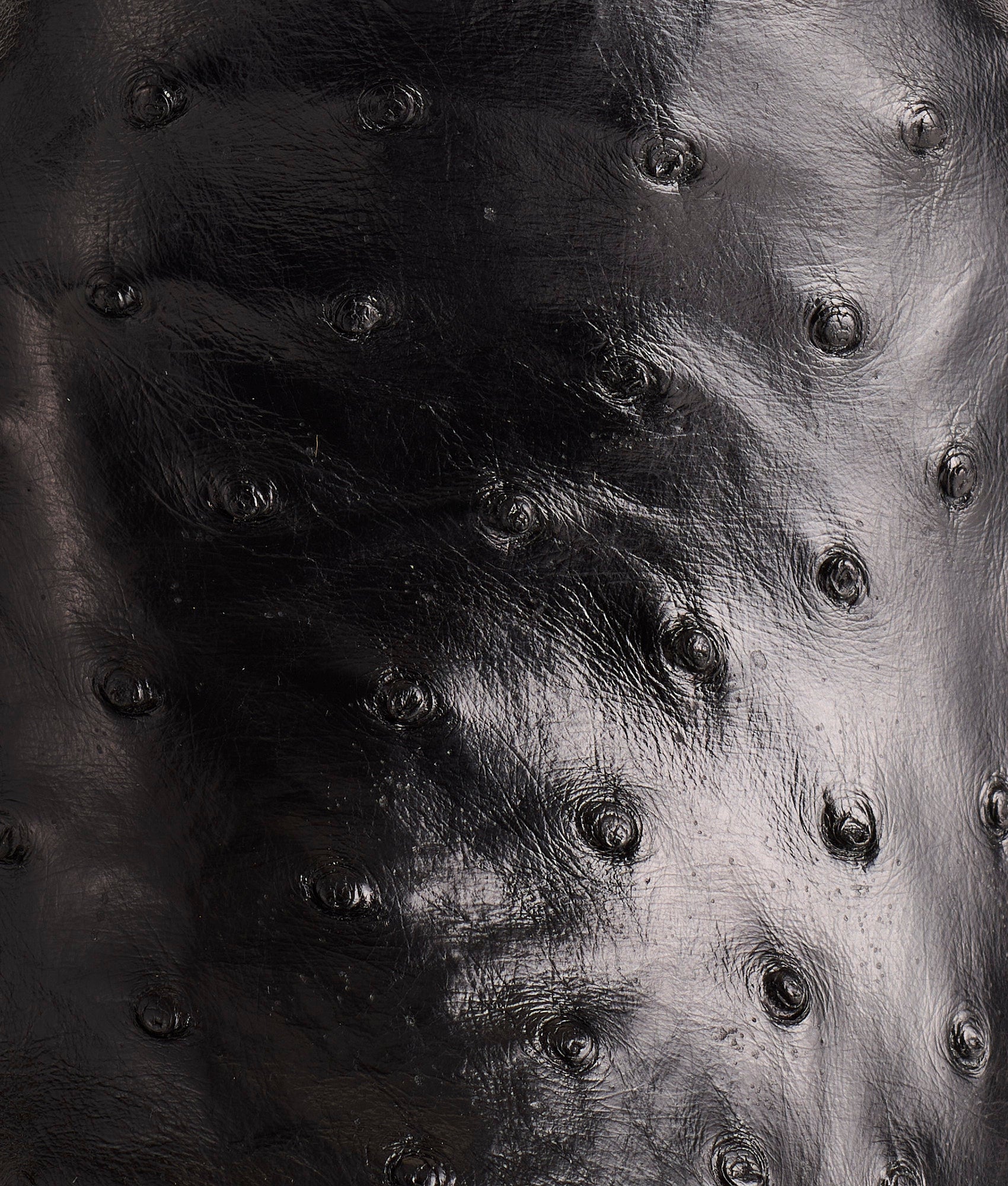 Luke :: Black - Image 7