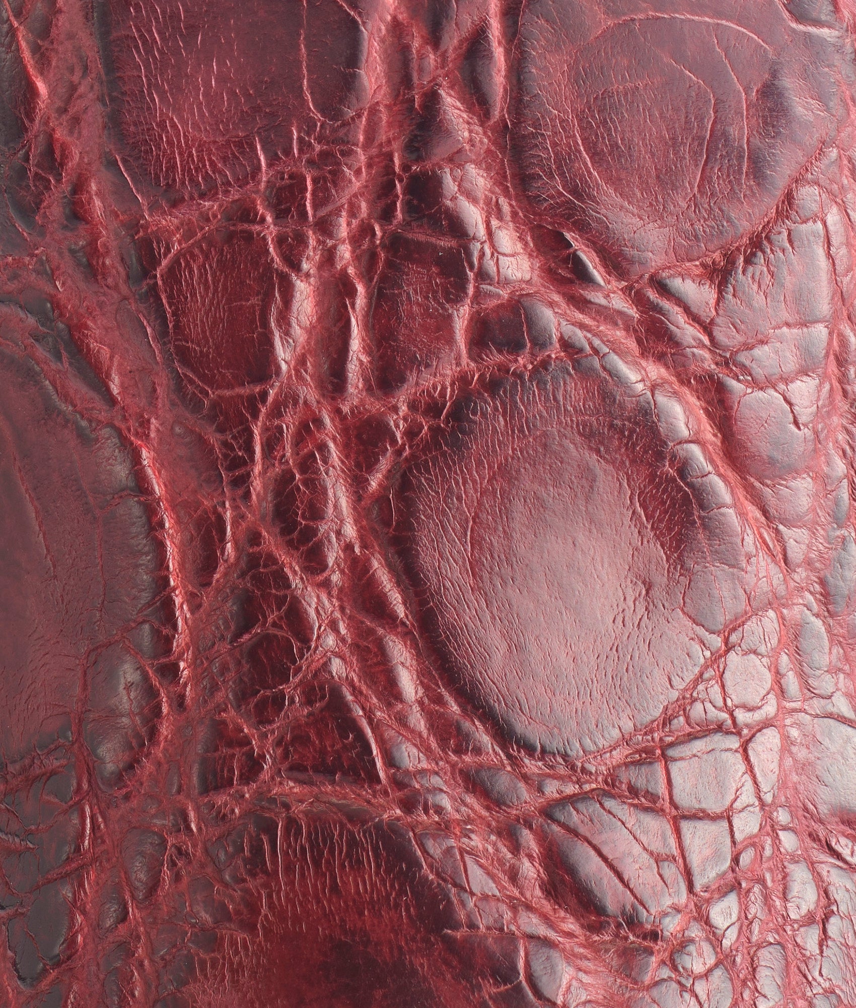 Rio :: Black Cherry + Black - Image 8