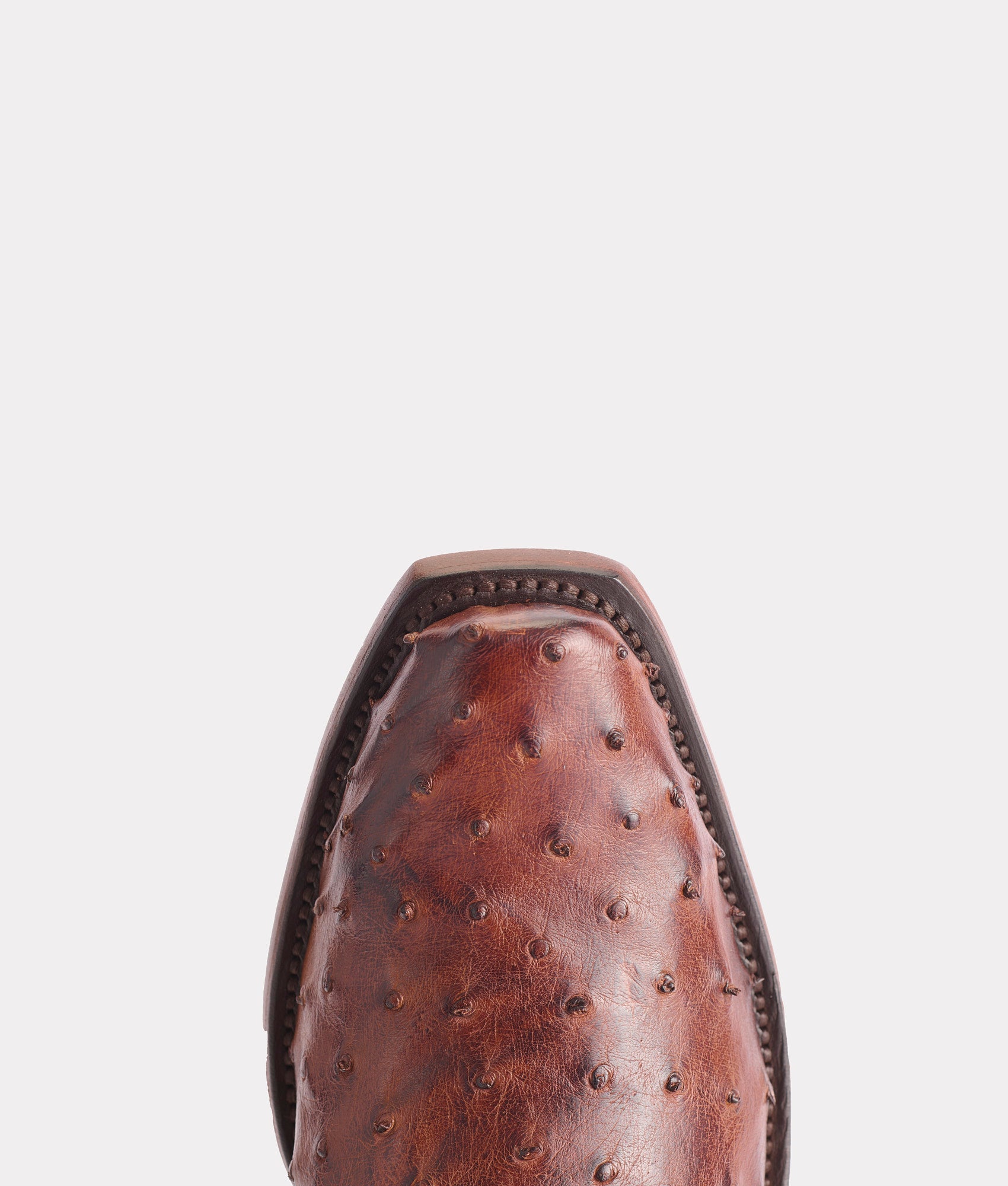 Elgin :: Chocolate - Image 7