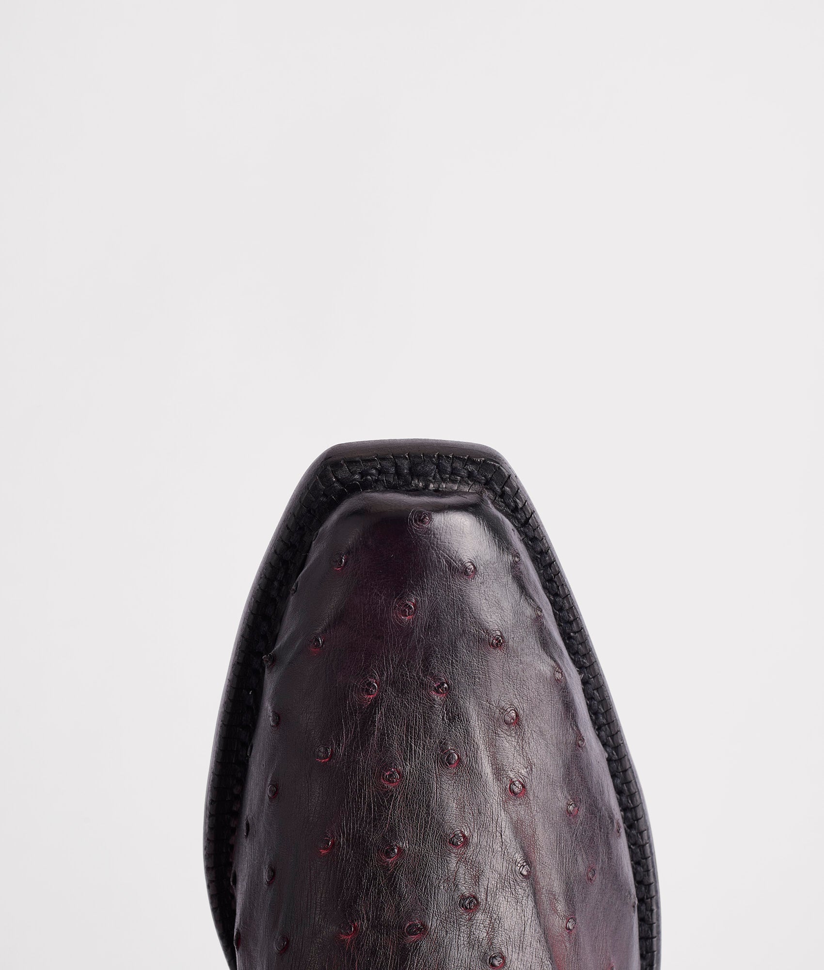 Elgin :: Black Cherry + Black - Image 7