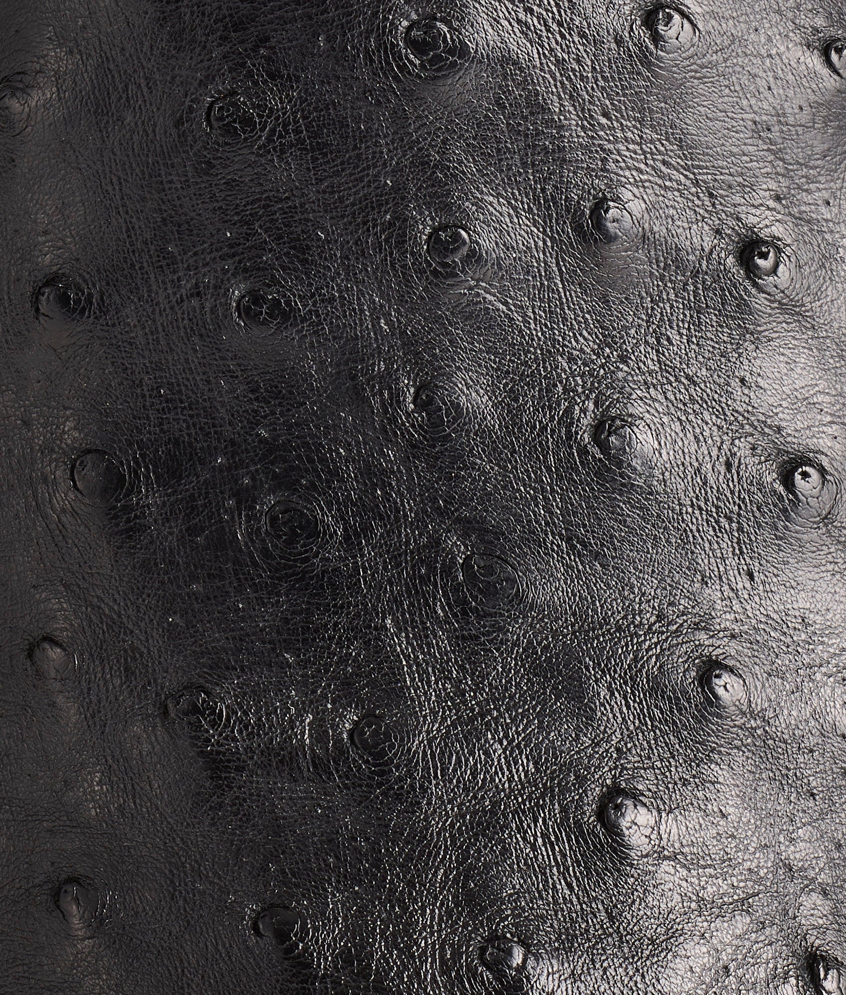 Zane :: Black - Image 7