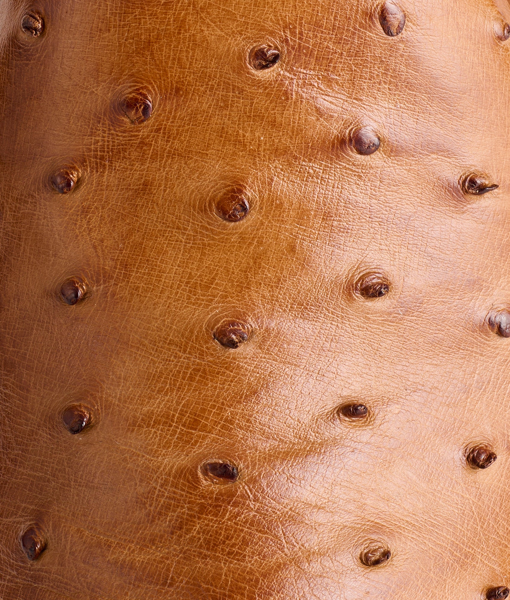 Zane :: Barnwood + Tan - Image 7